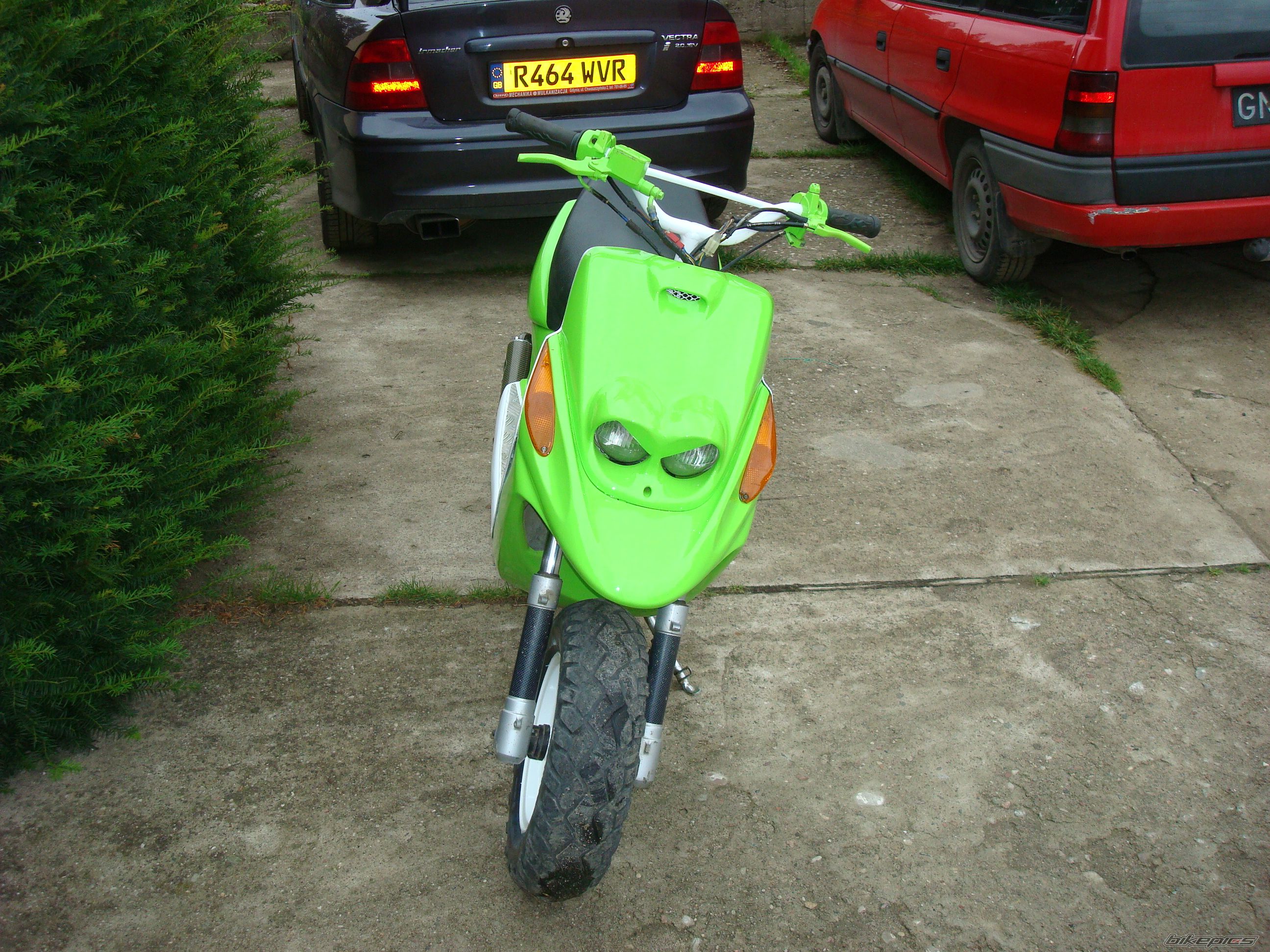 Photo 1383670