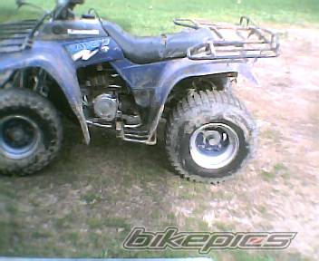 Photo 138373