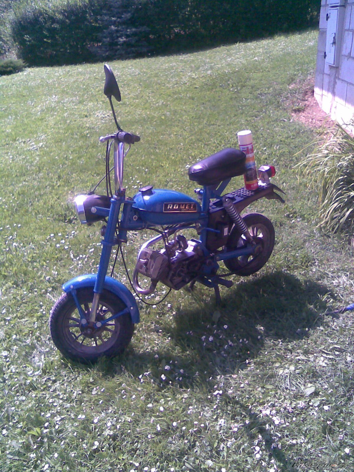Photo 1383740