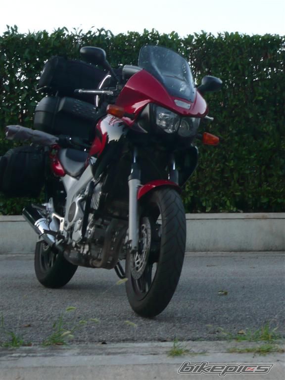 Photo 1383744