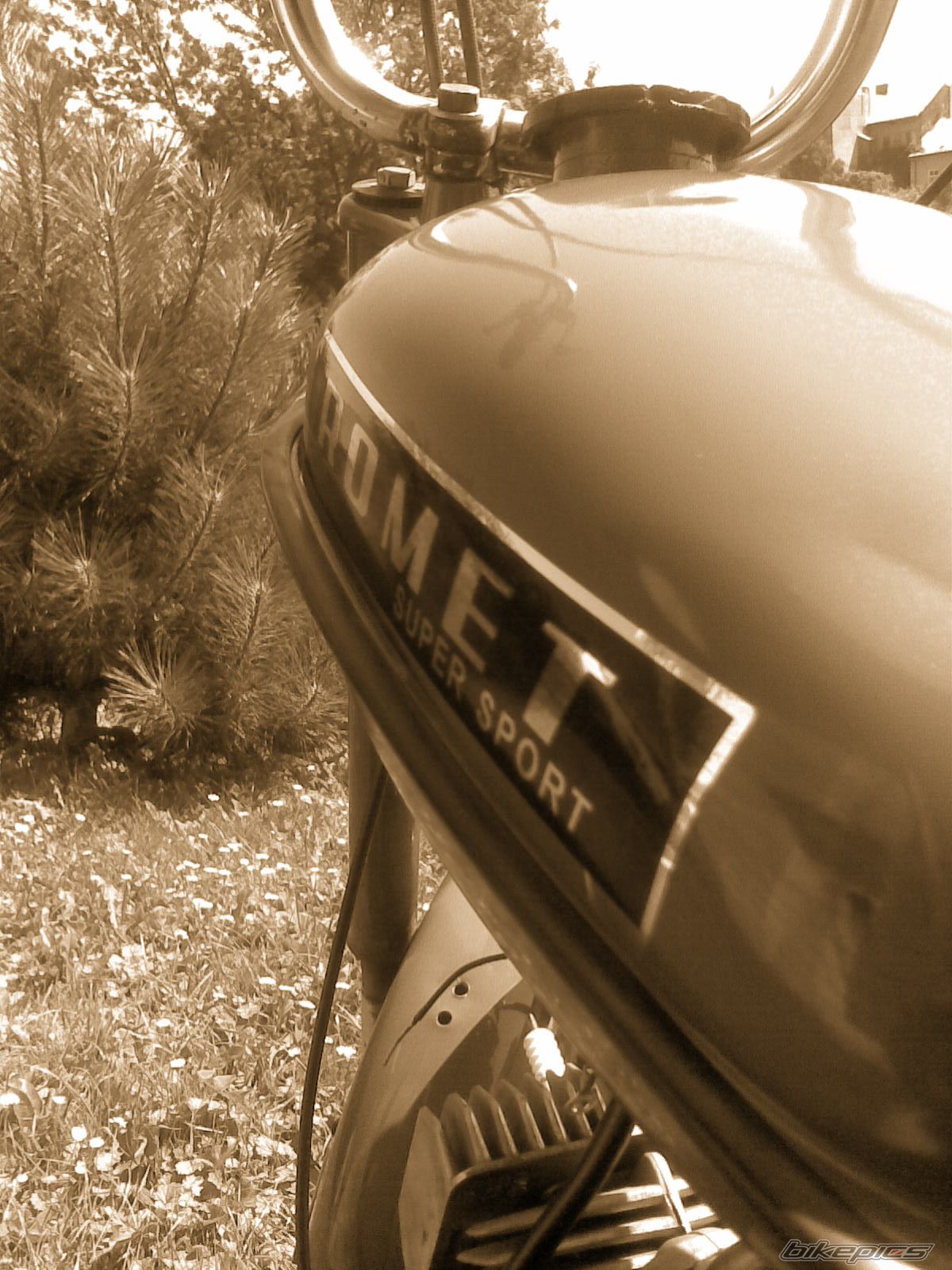 Photo 1383749