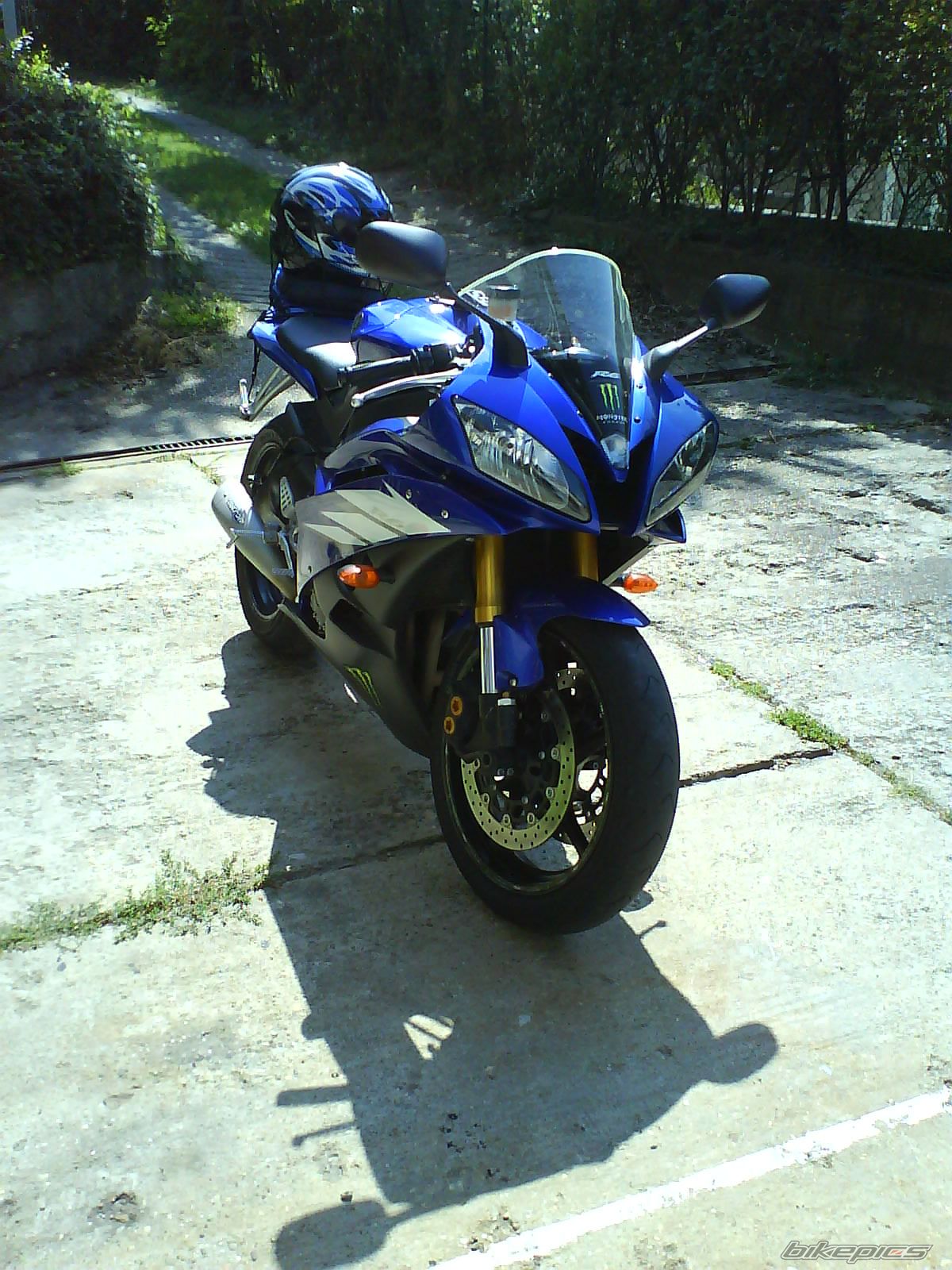 Photo 1383790