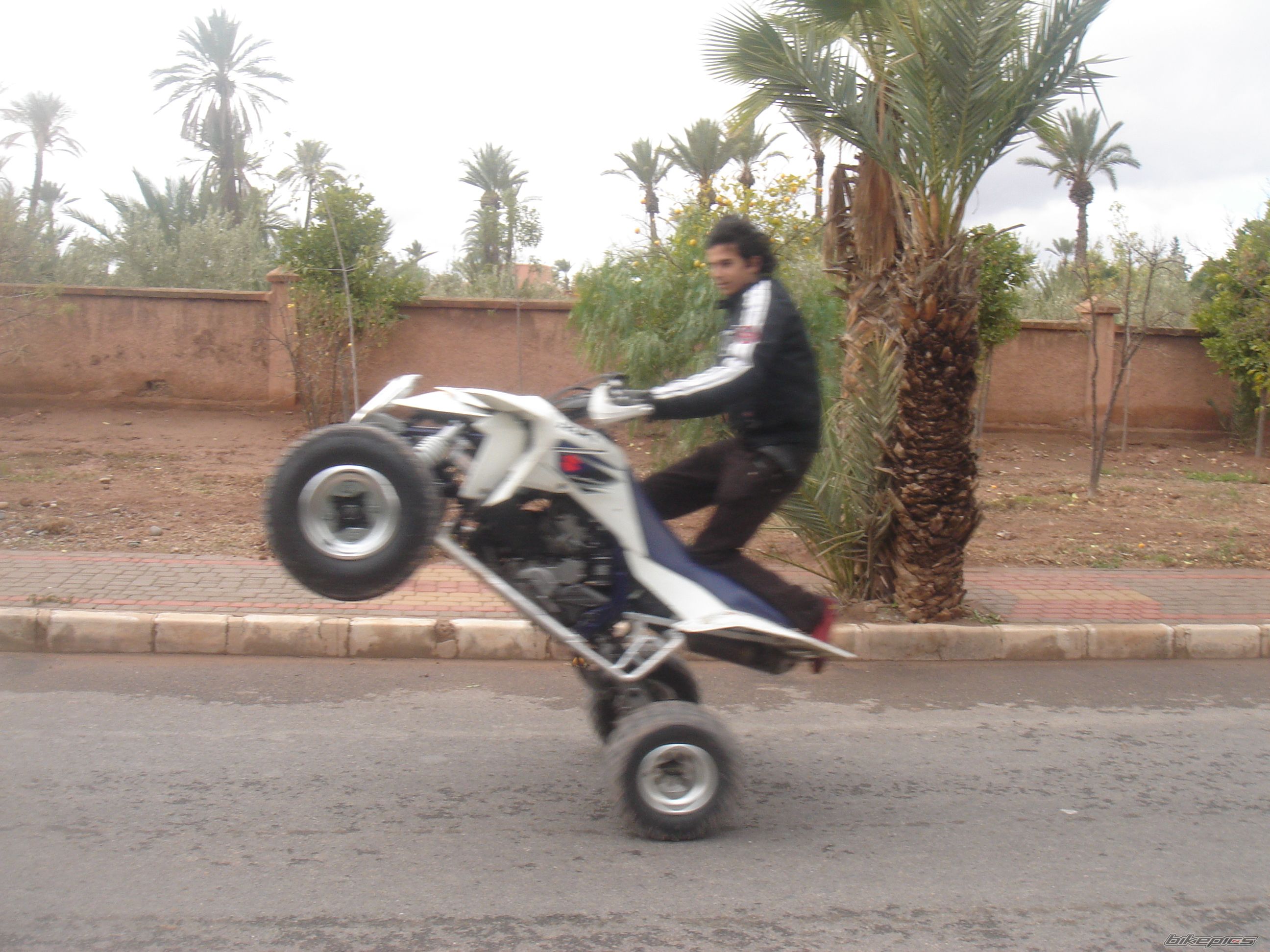 Photo 1383829