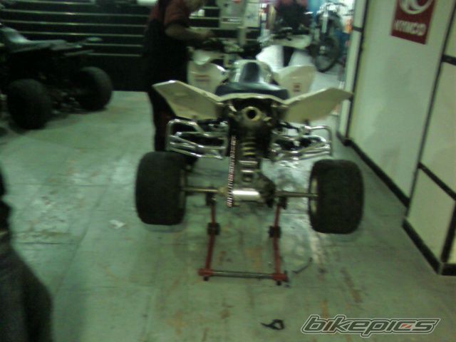 Photo 1383834