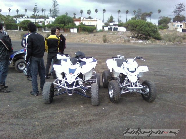 Photo 1383835