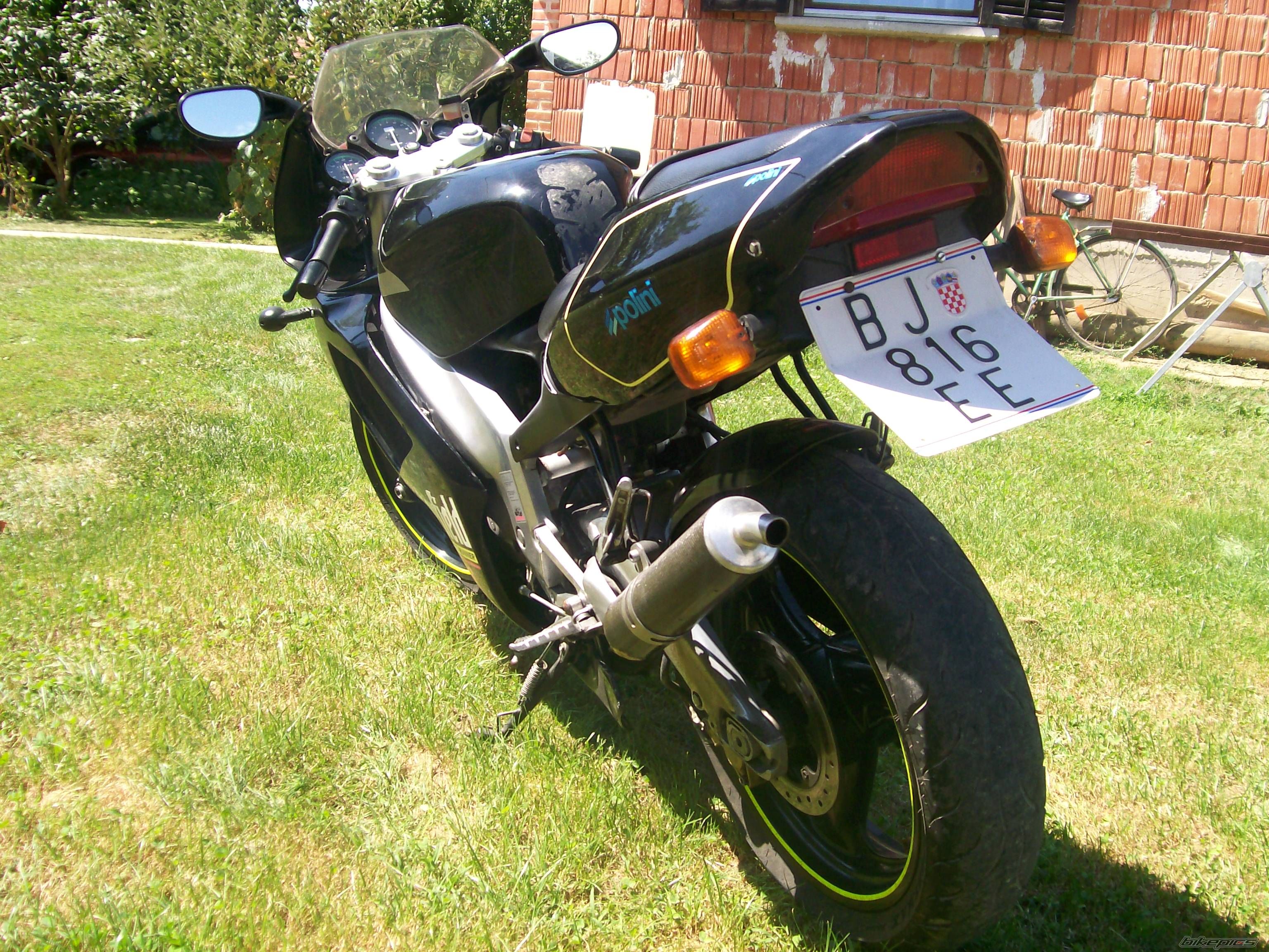 Photo 1383846