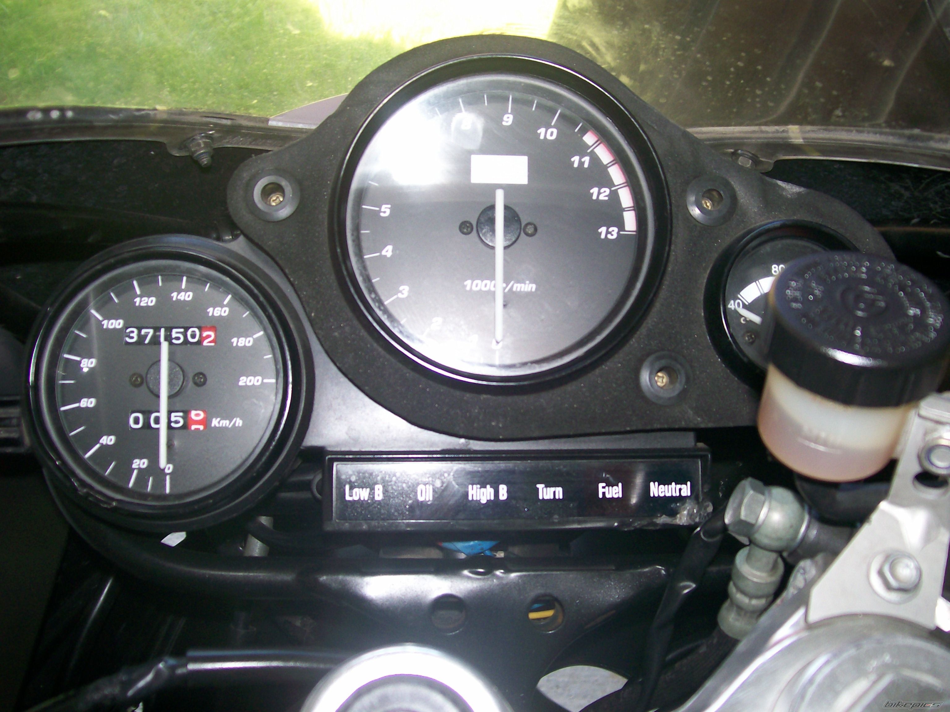 Photo 1383847