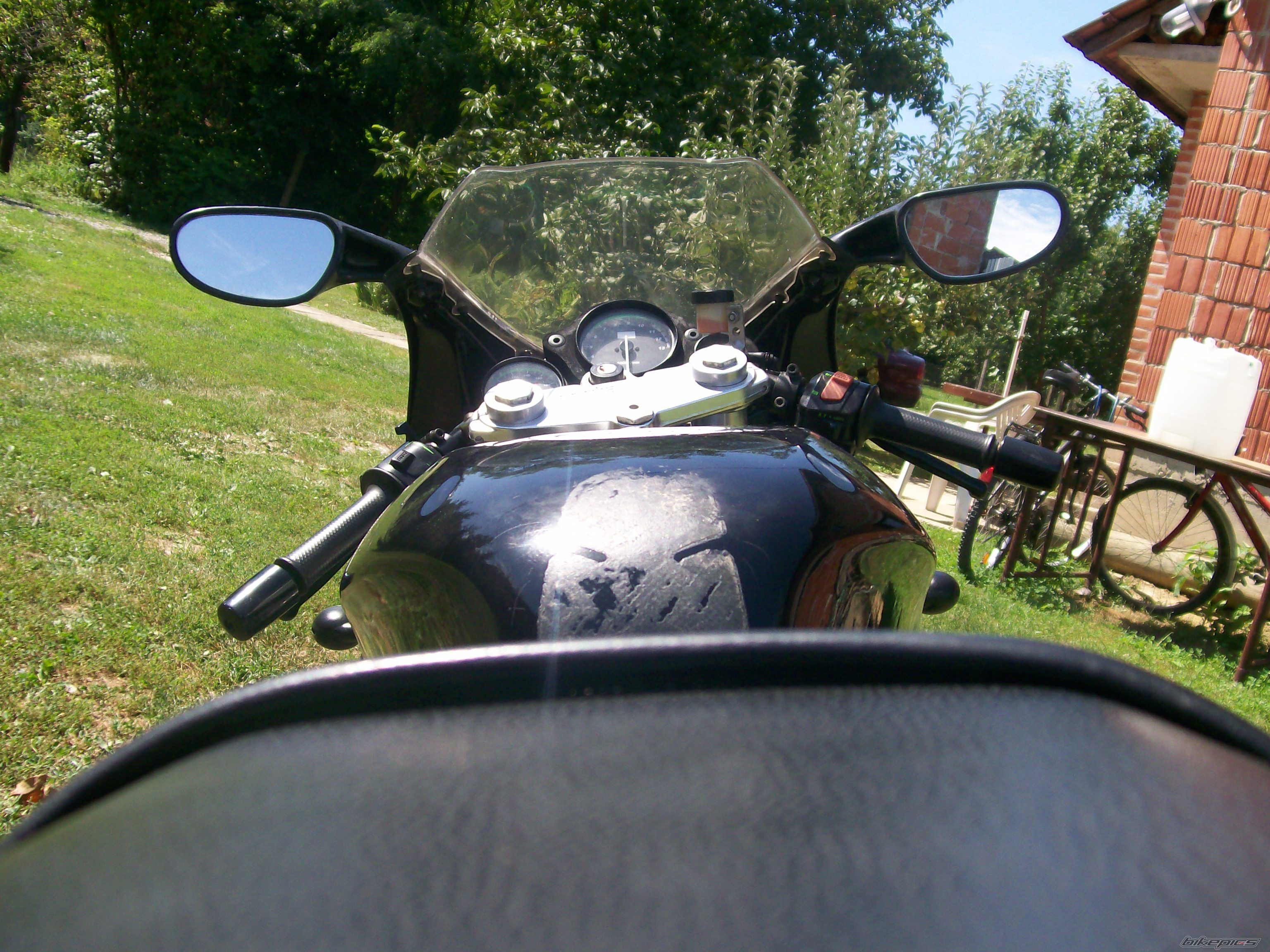 Photo 1383851