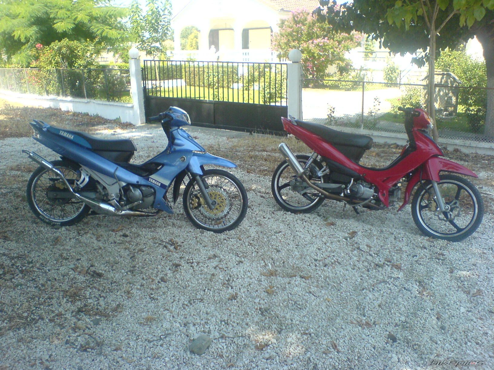 Photo 1383864