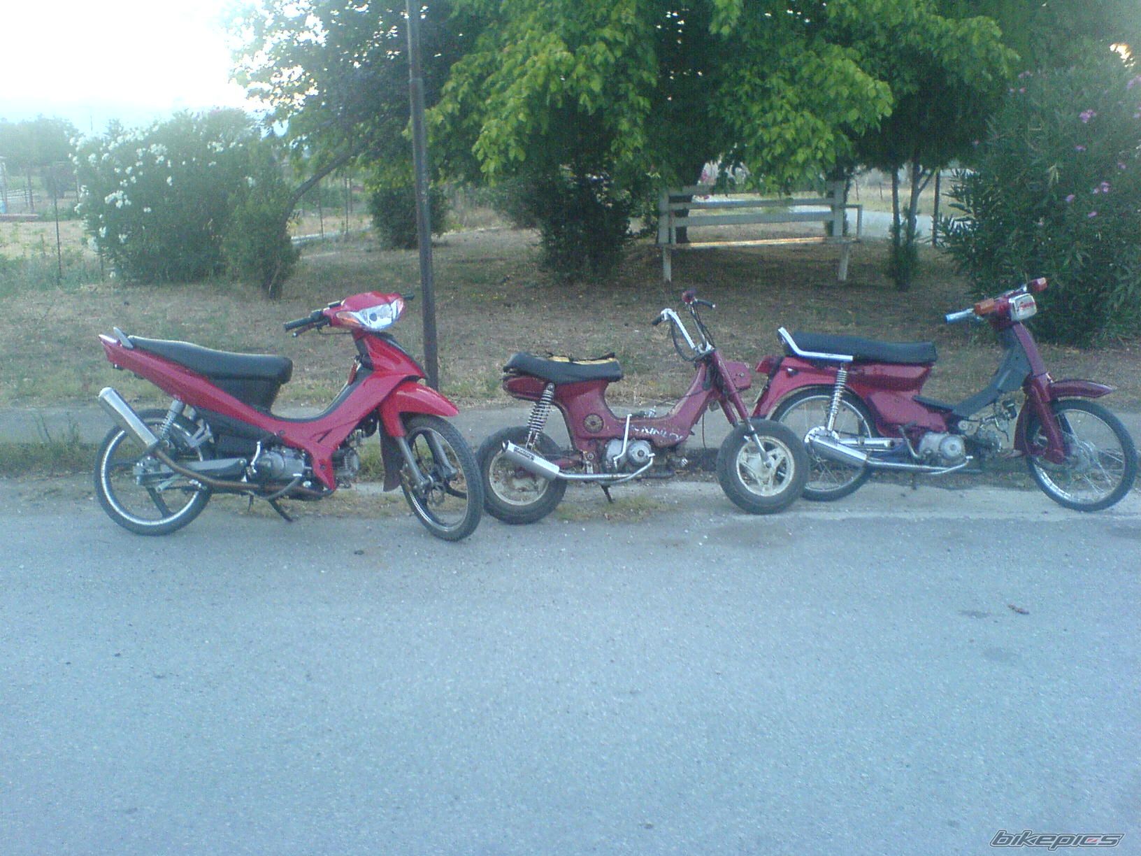 Photo 1383865