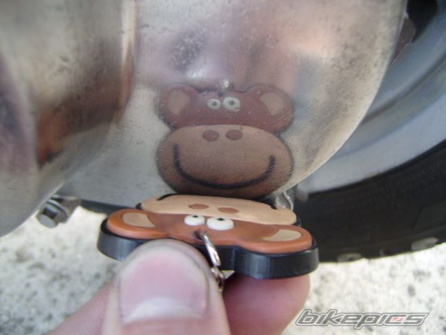Photo 1383866