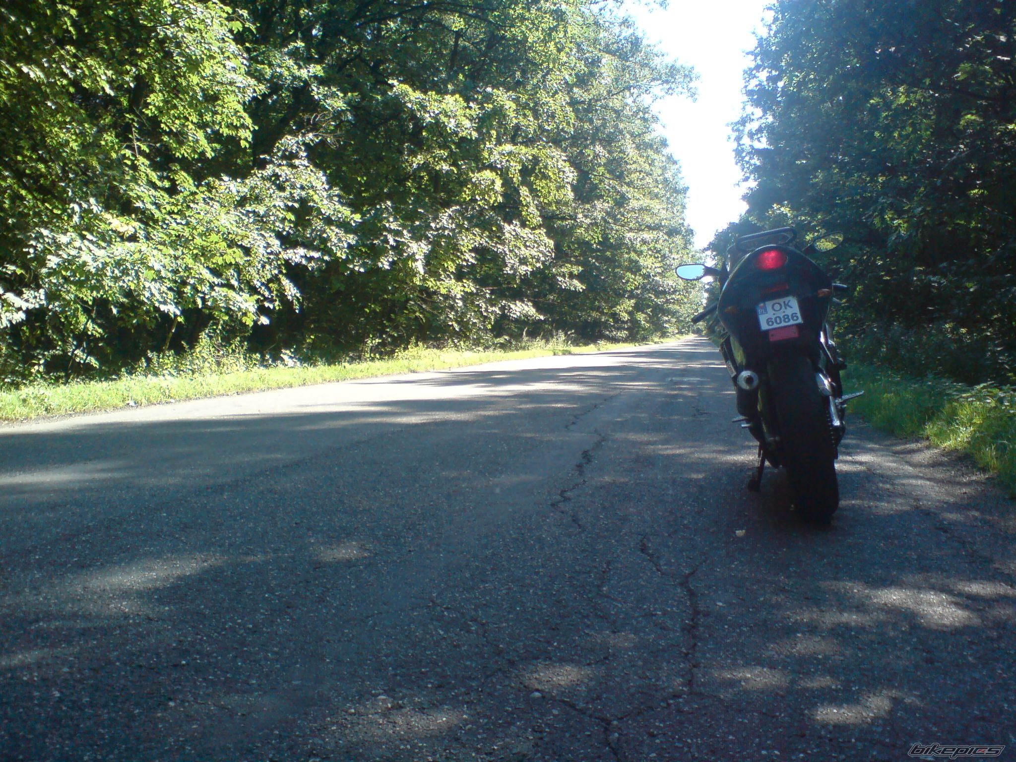 Photo 1383910