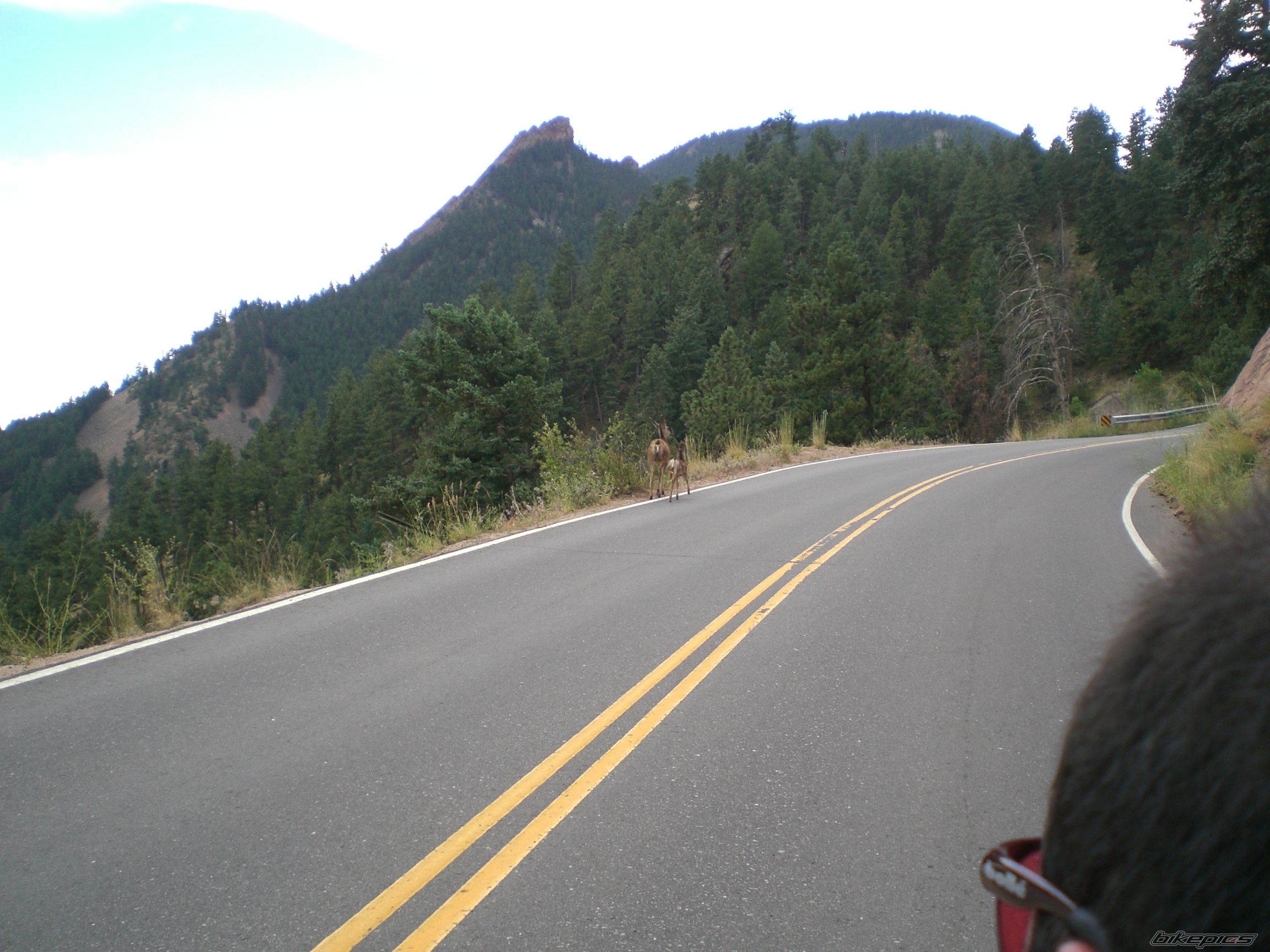 Bike Photo 1383970
