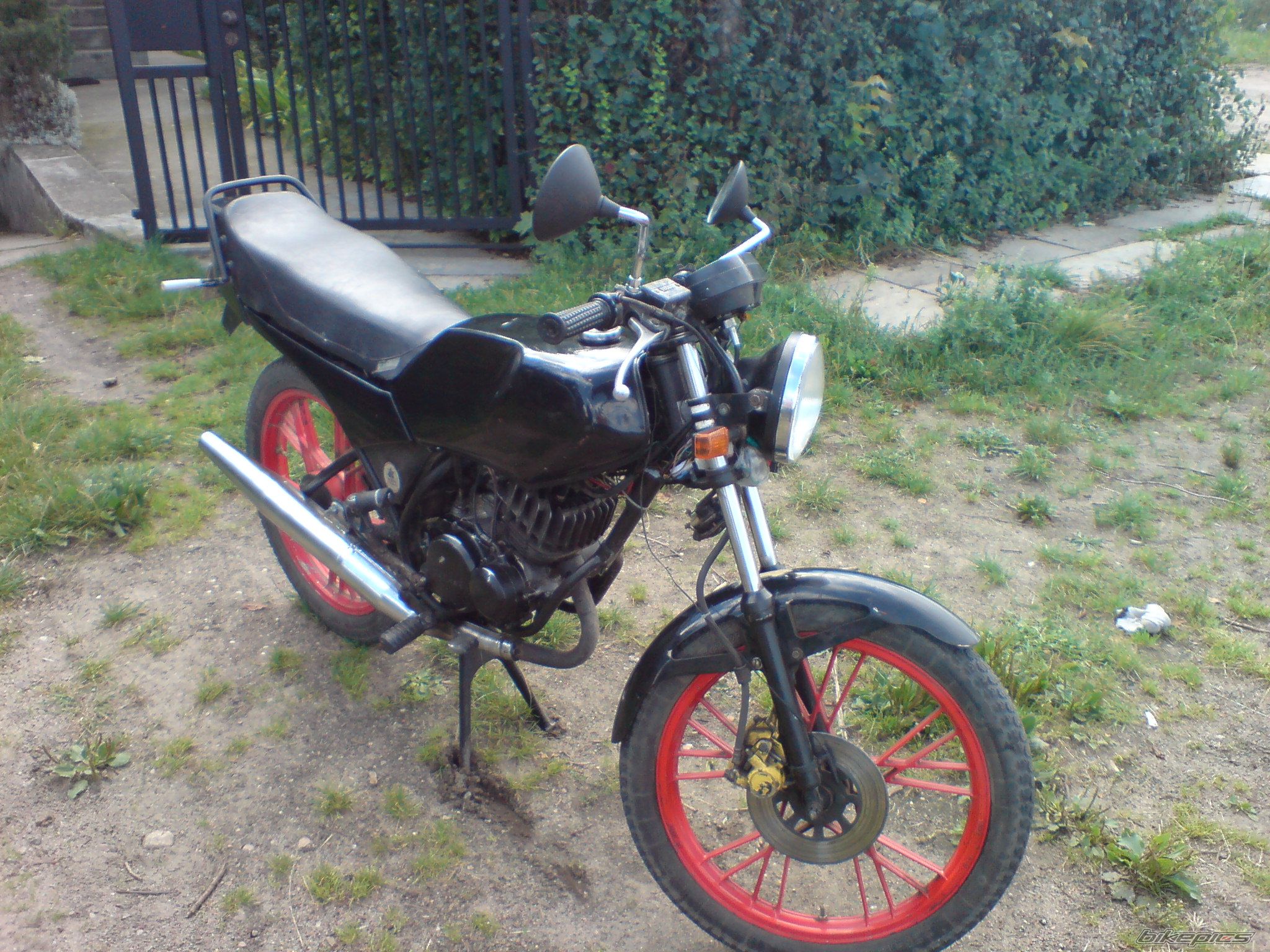 Photo 1384029