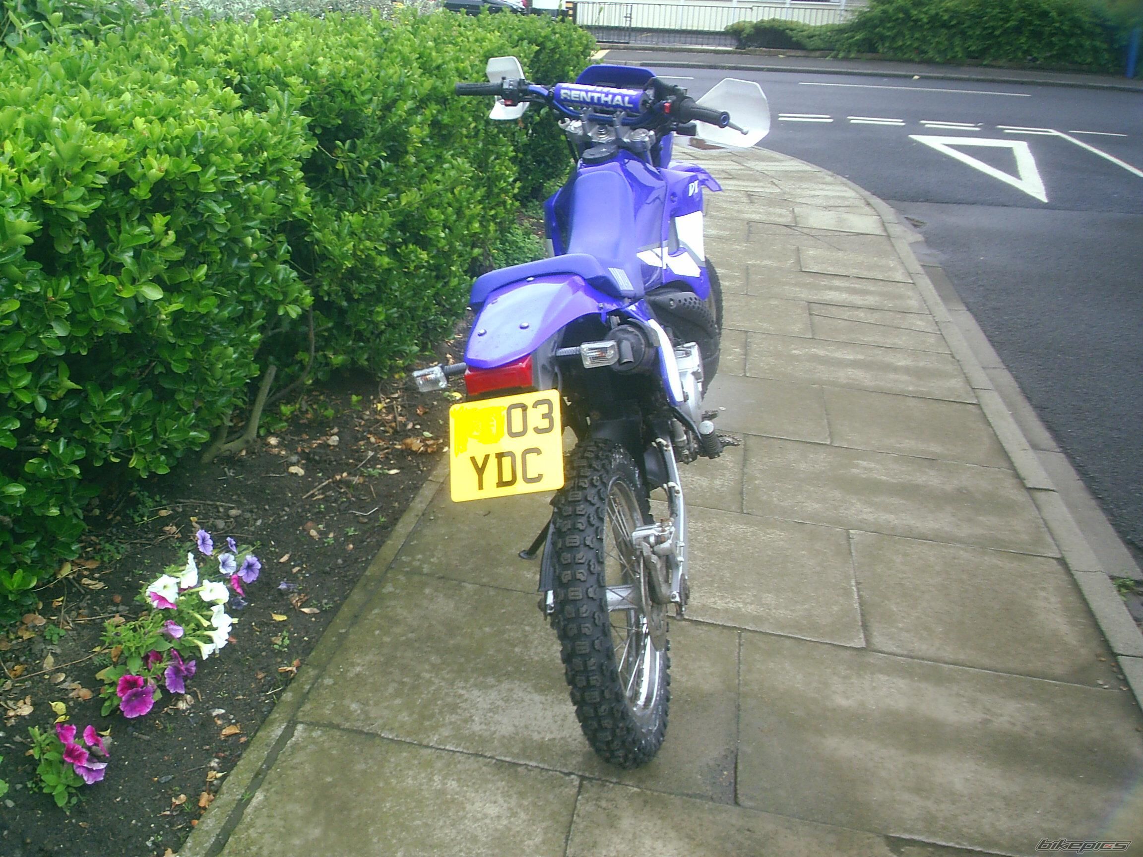 Photo 1384089