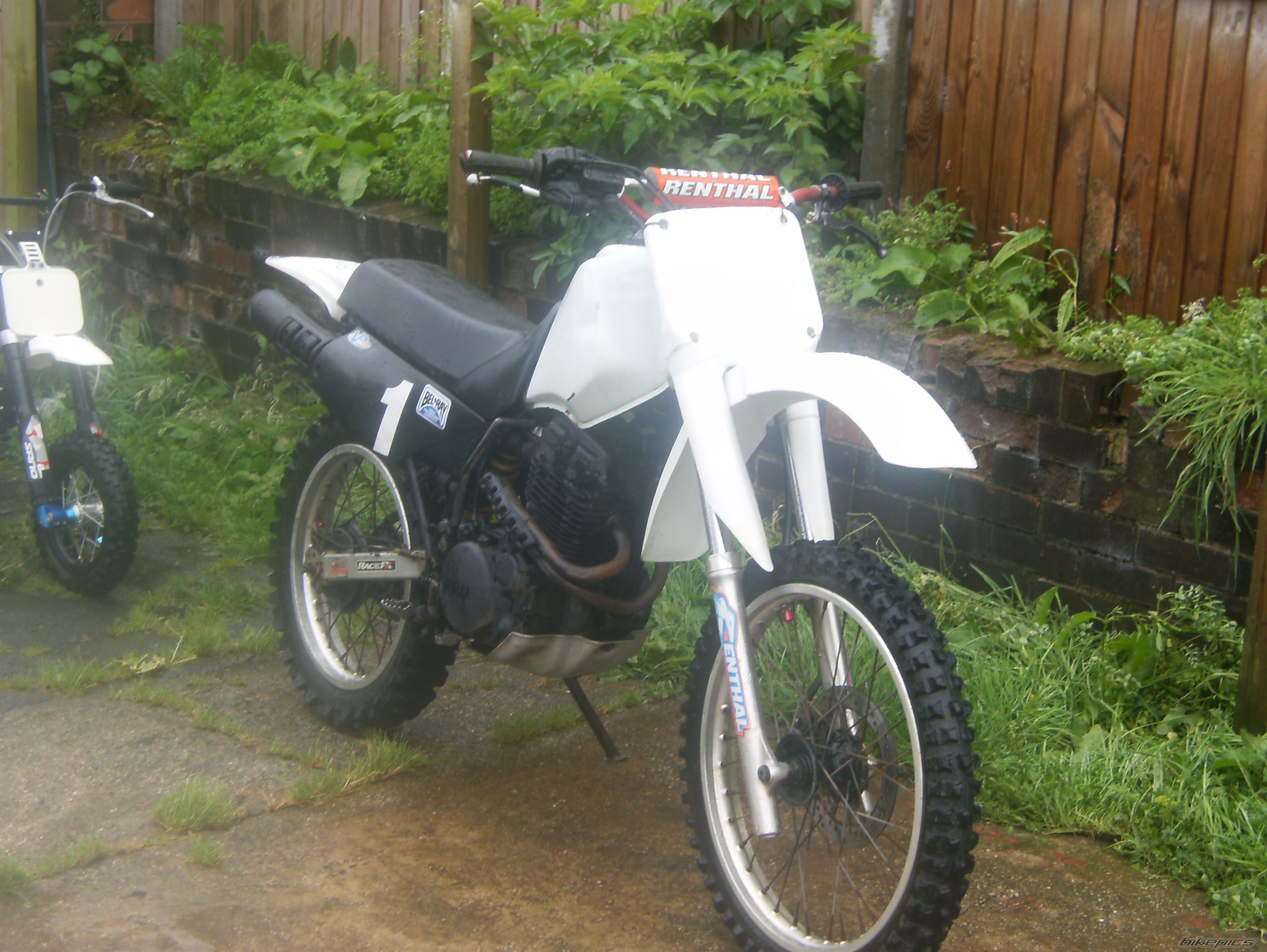 Photo 1384119