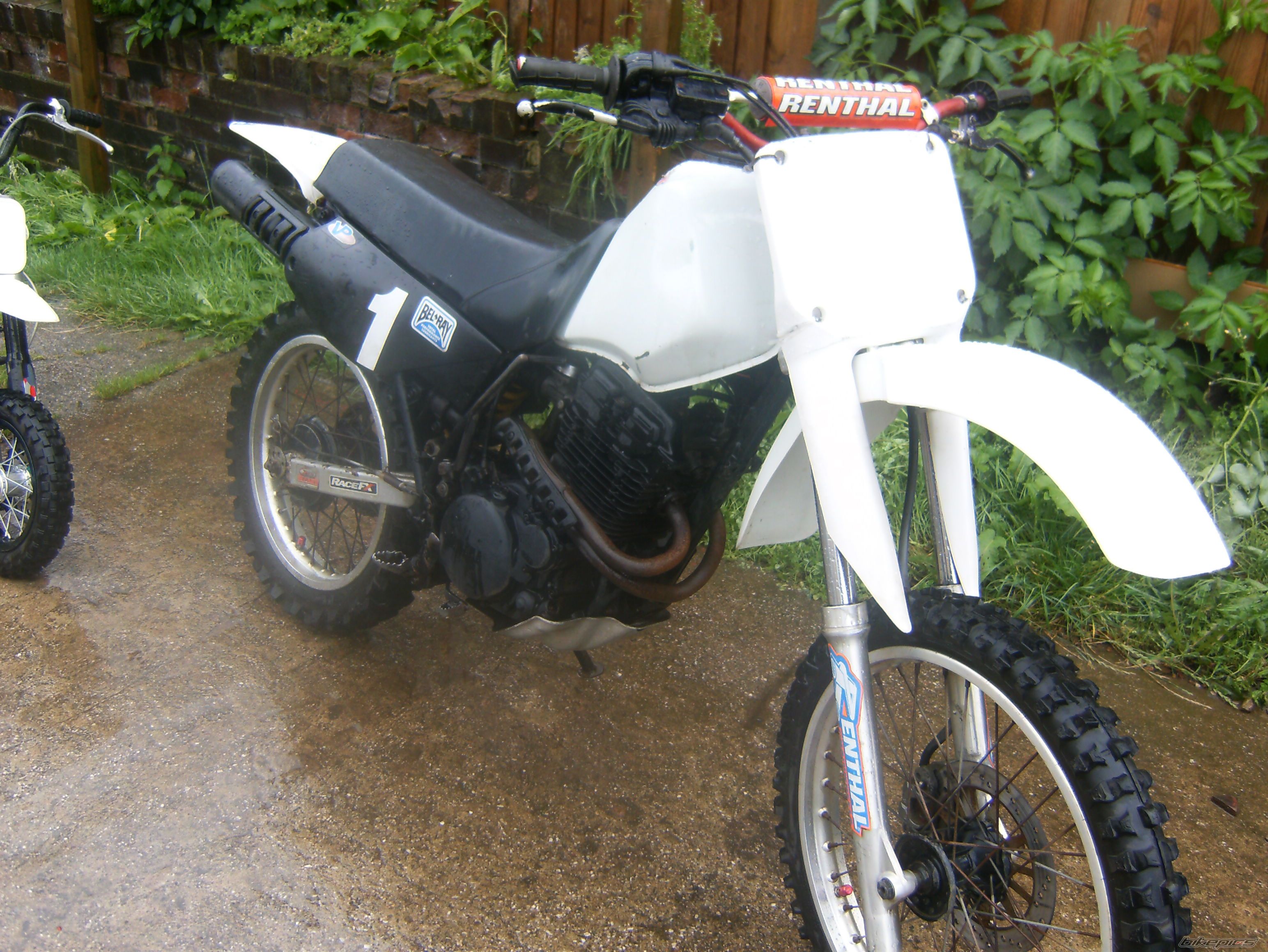 Photo 1384124