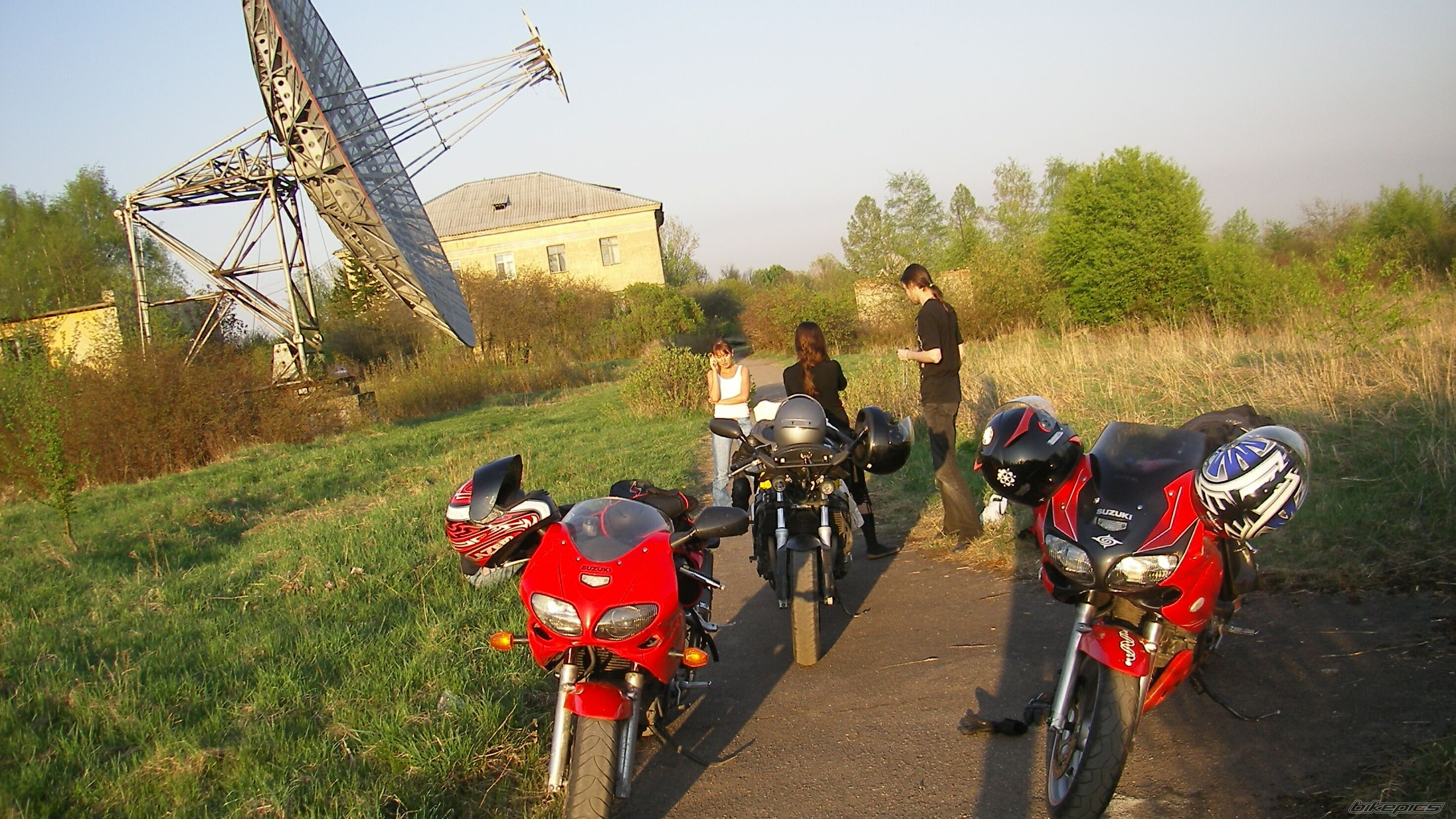 Photo 1384138