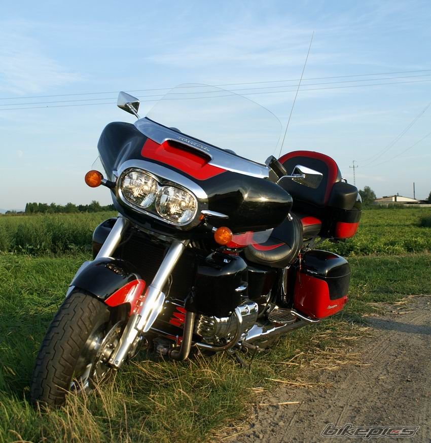 Photo 1384177