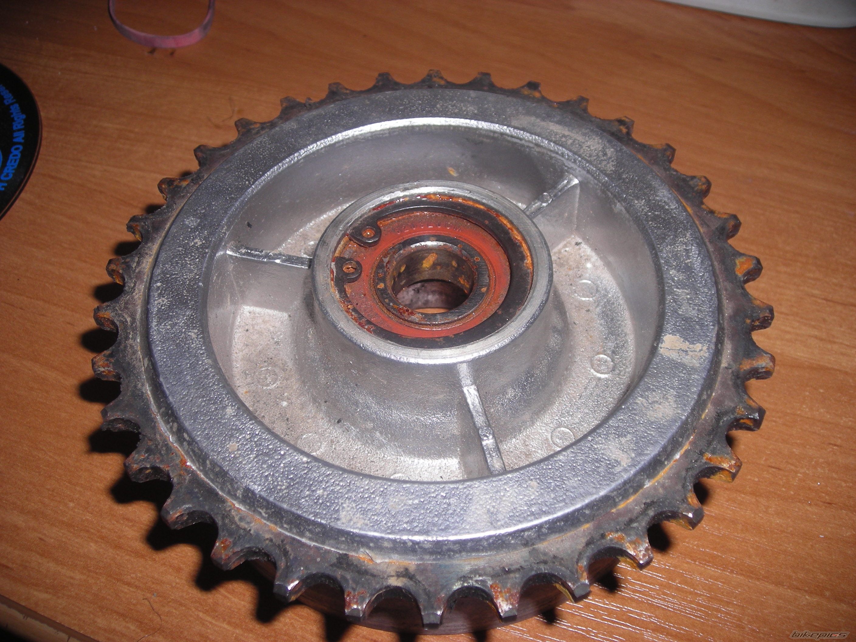 Photo 1384216