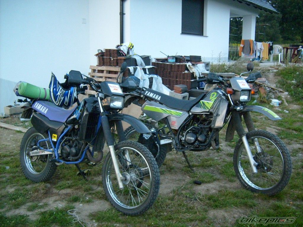 Photo 1384243