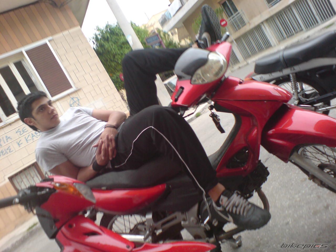 Photo 1384268