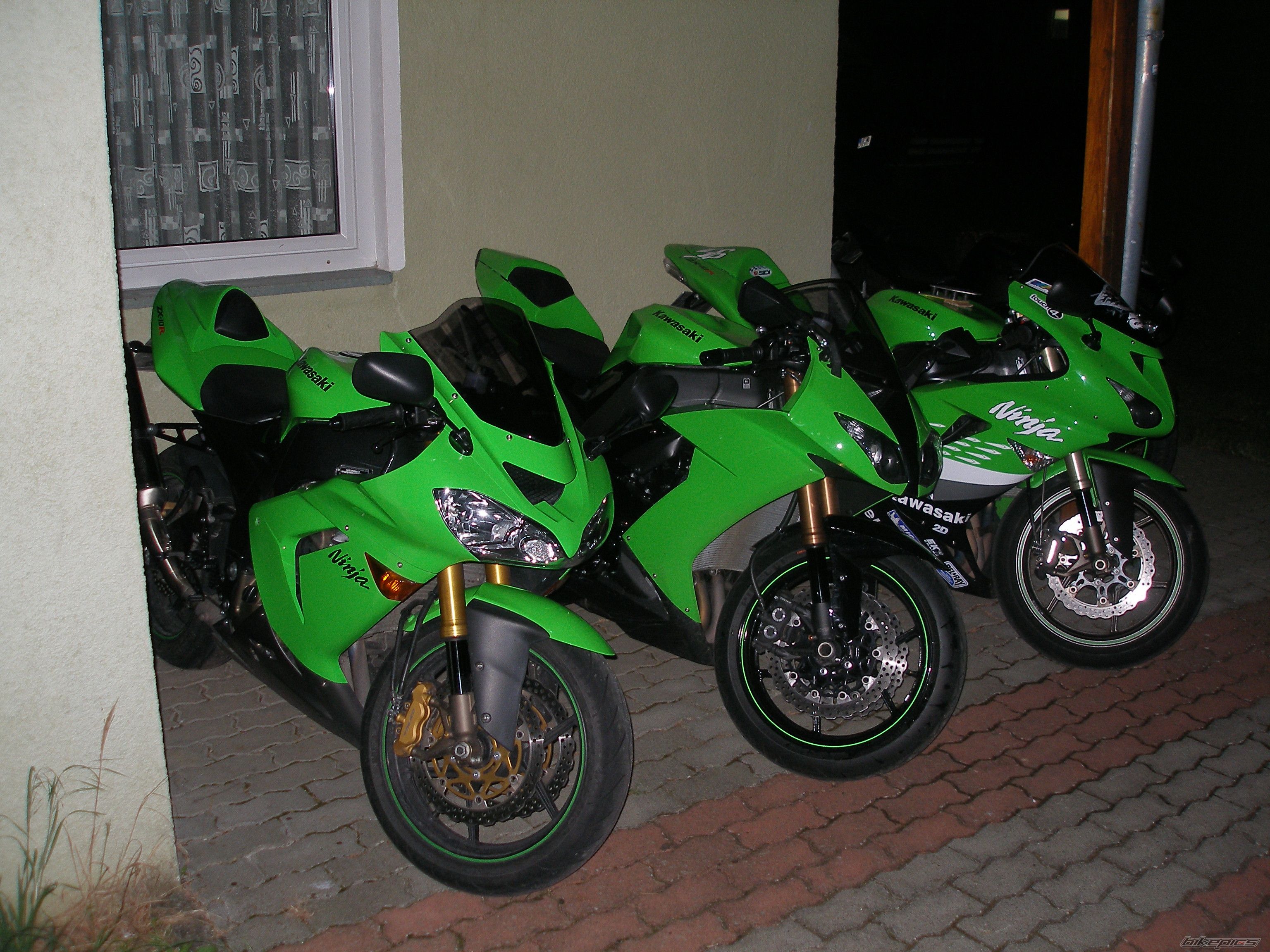 Photo 1384344