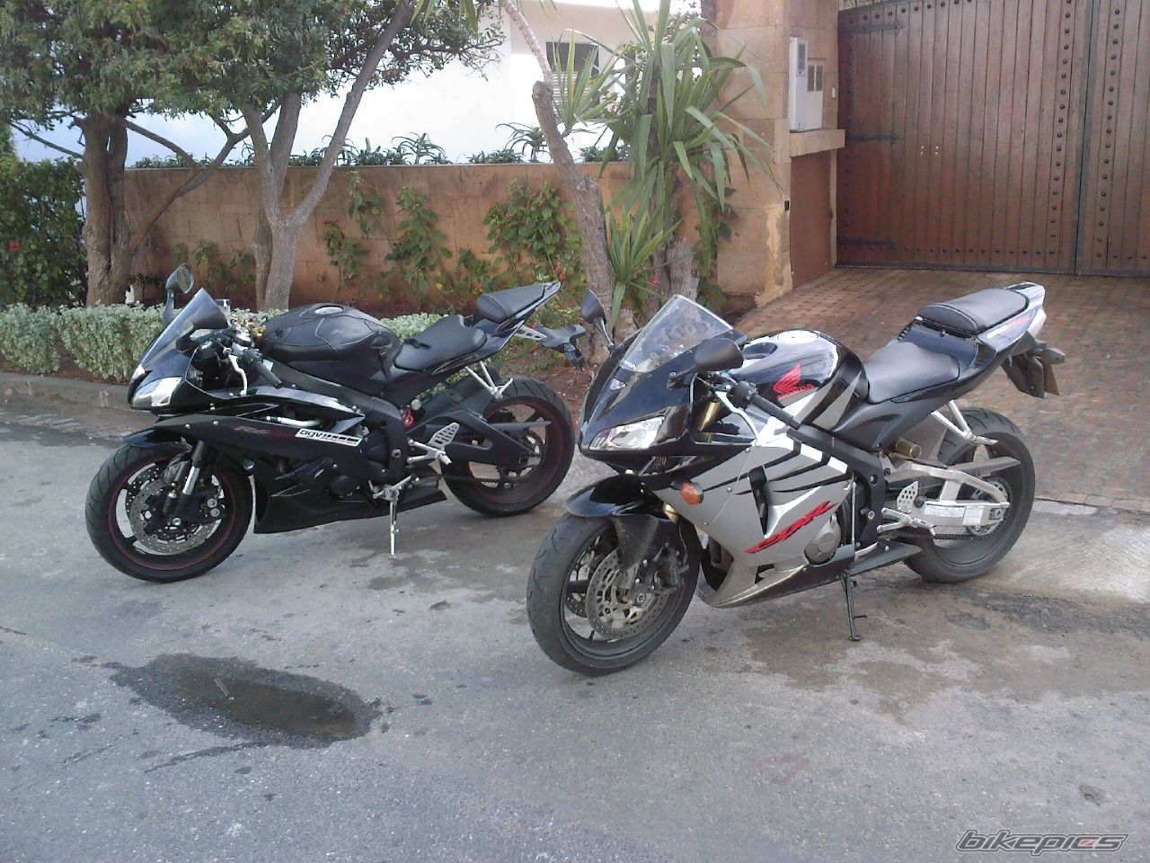 Photo 1384361