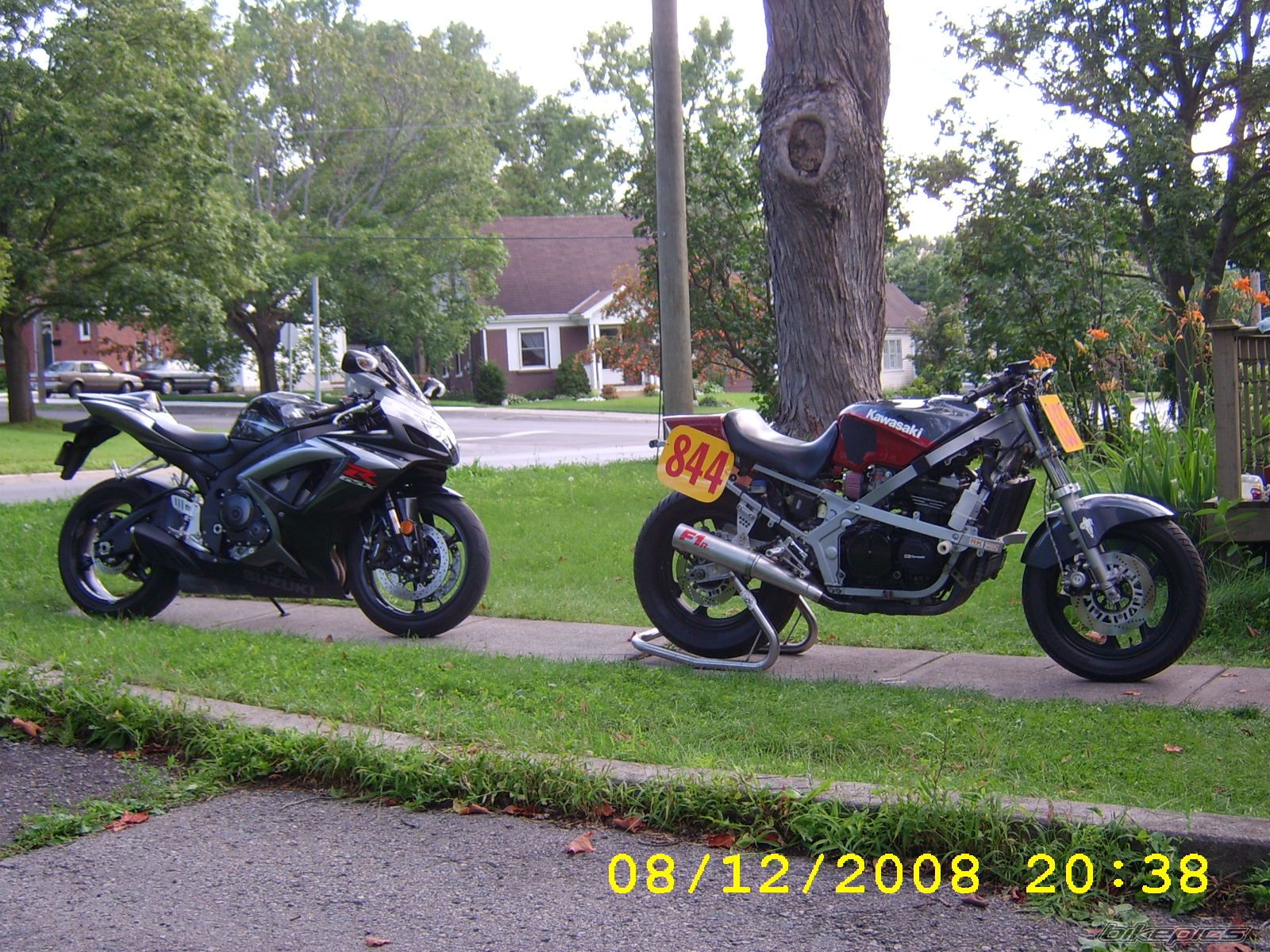 Photo 1384365