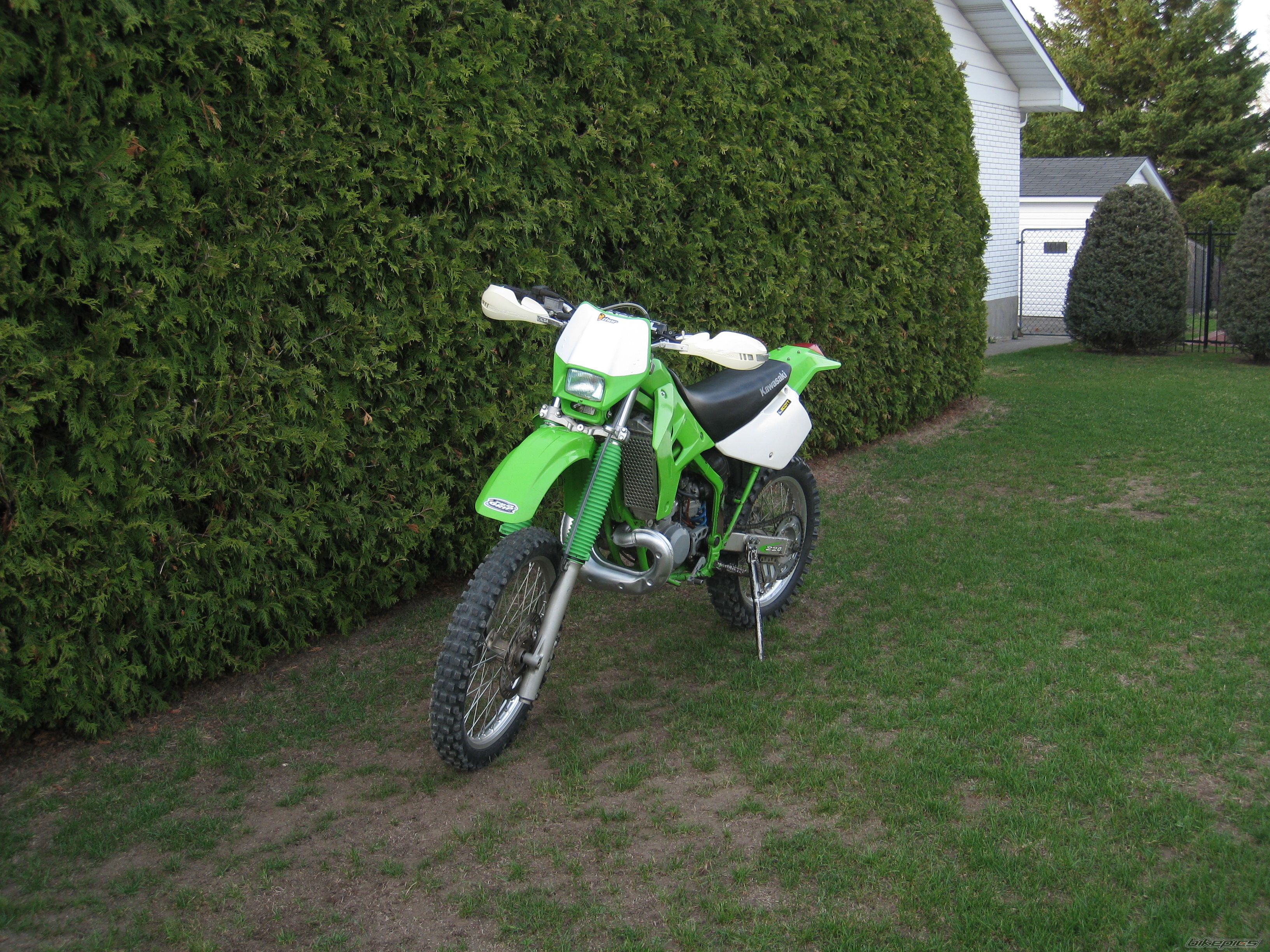 Photo 1384384