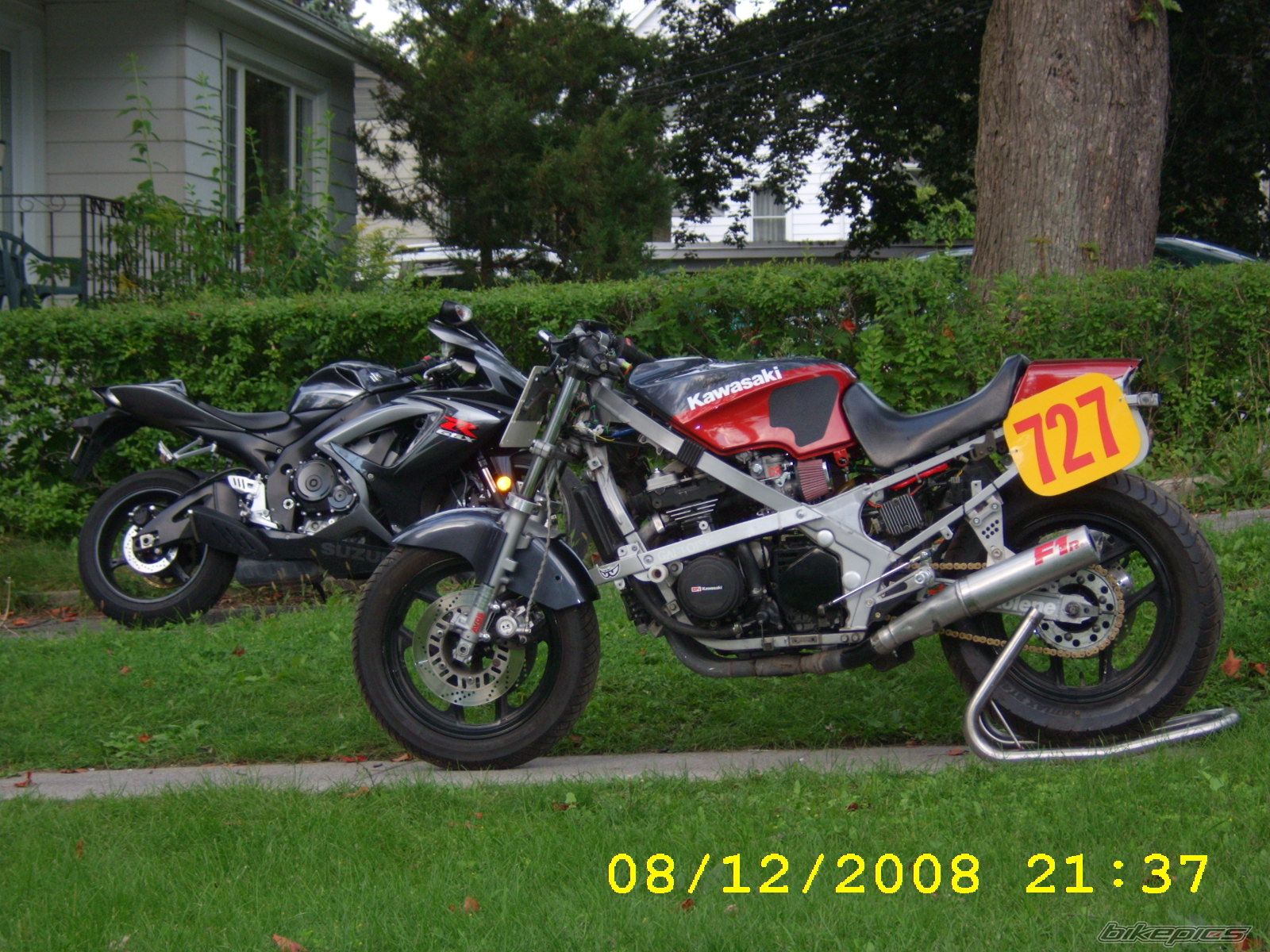 Photo 1384403