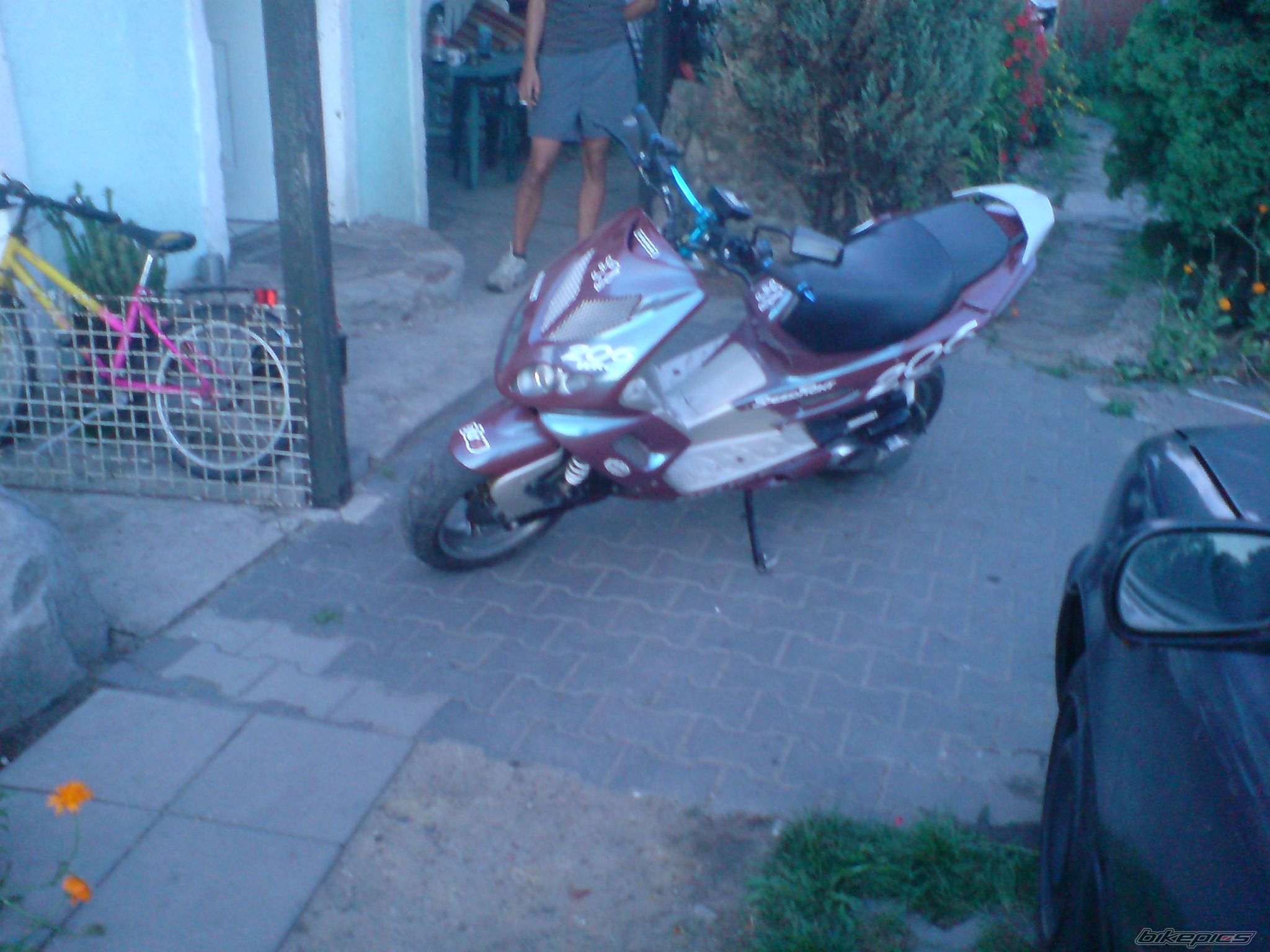 Photo 1384409