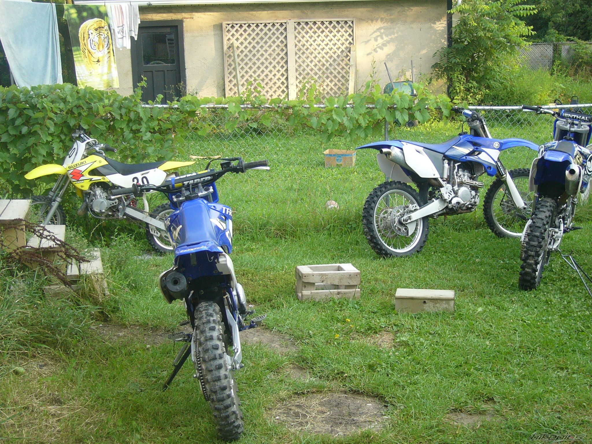 Photo 1384421