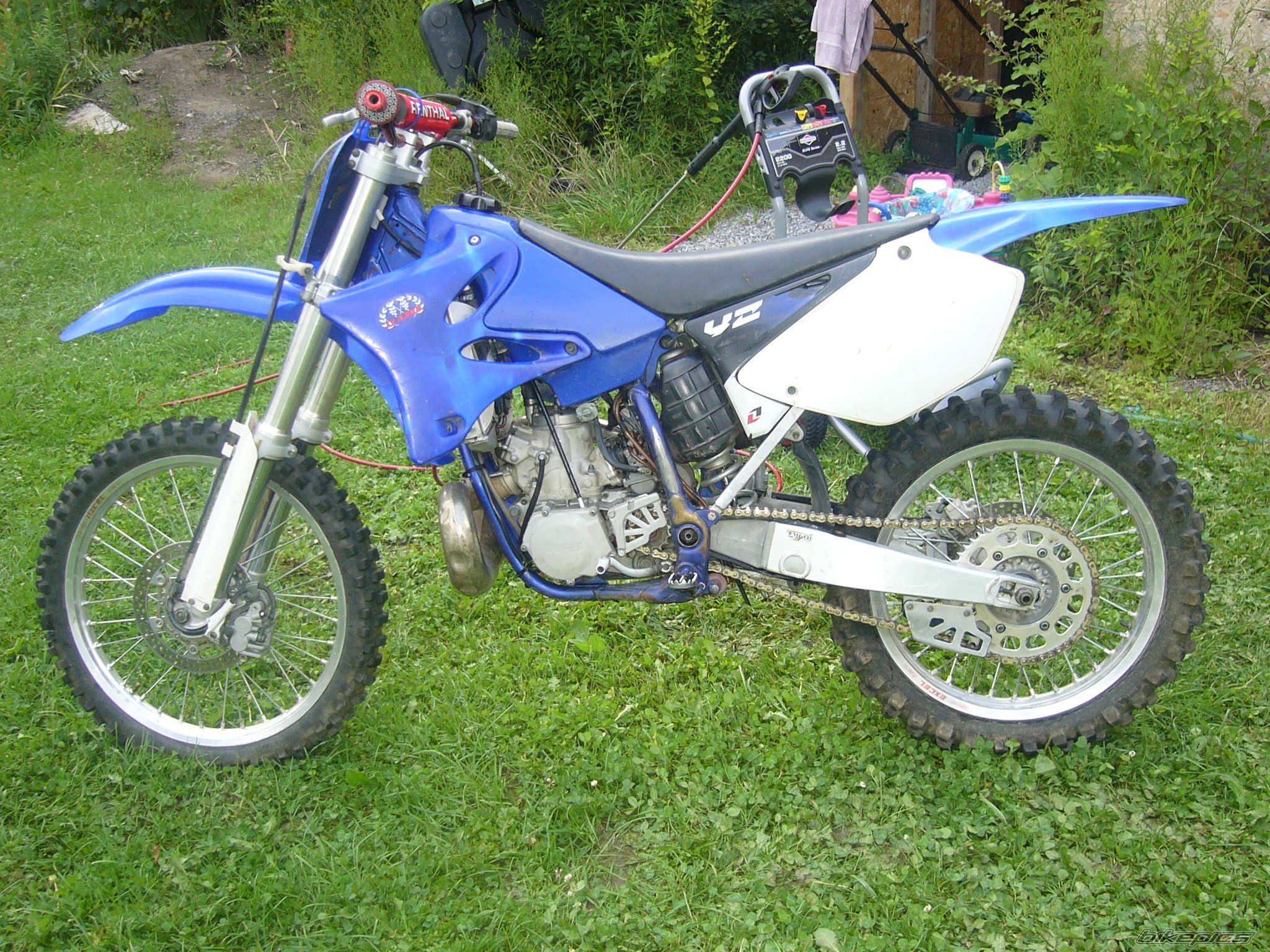 Photo 1384422