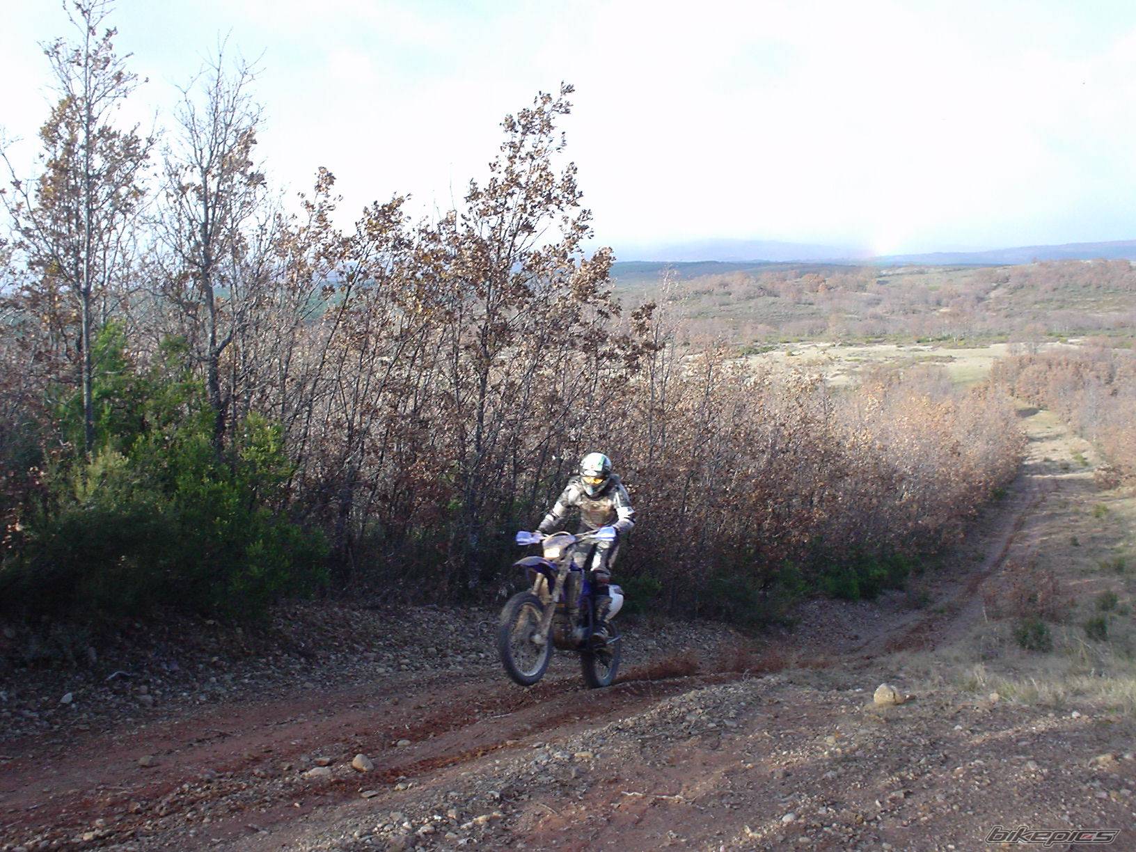 Photo 138443