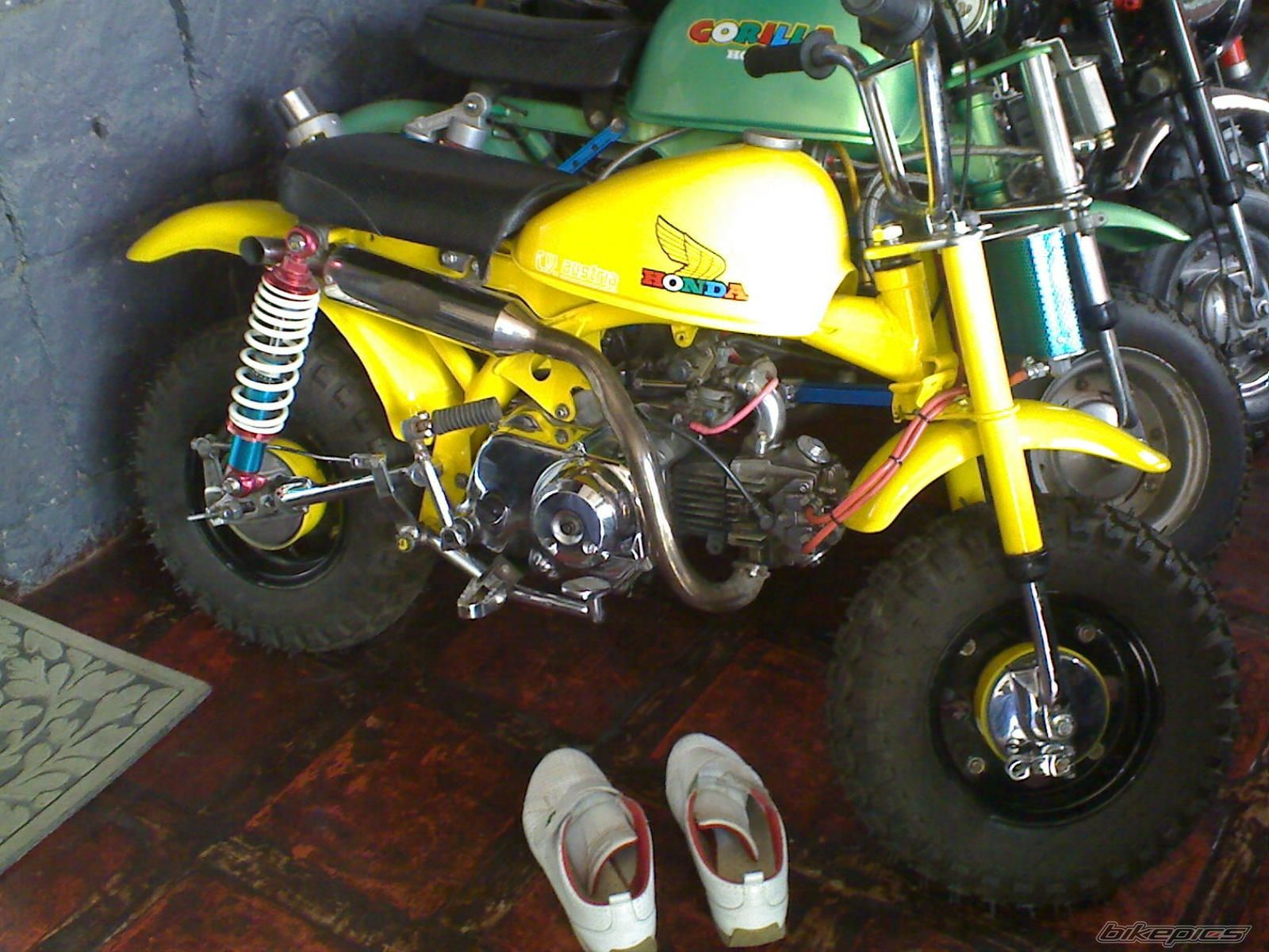 Photo 1384446