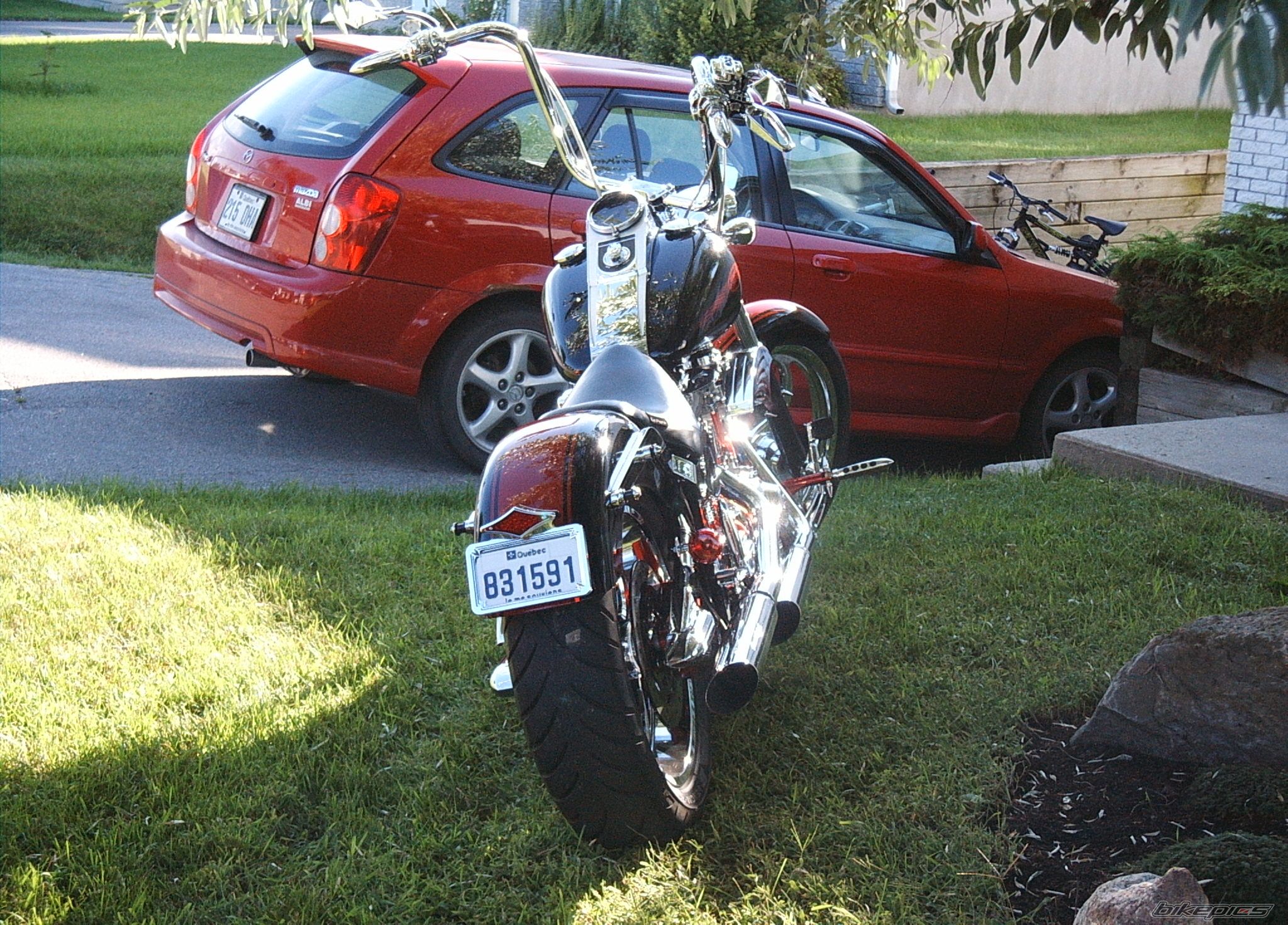 Photo 1384466