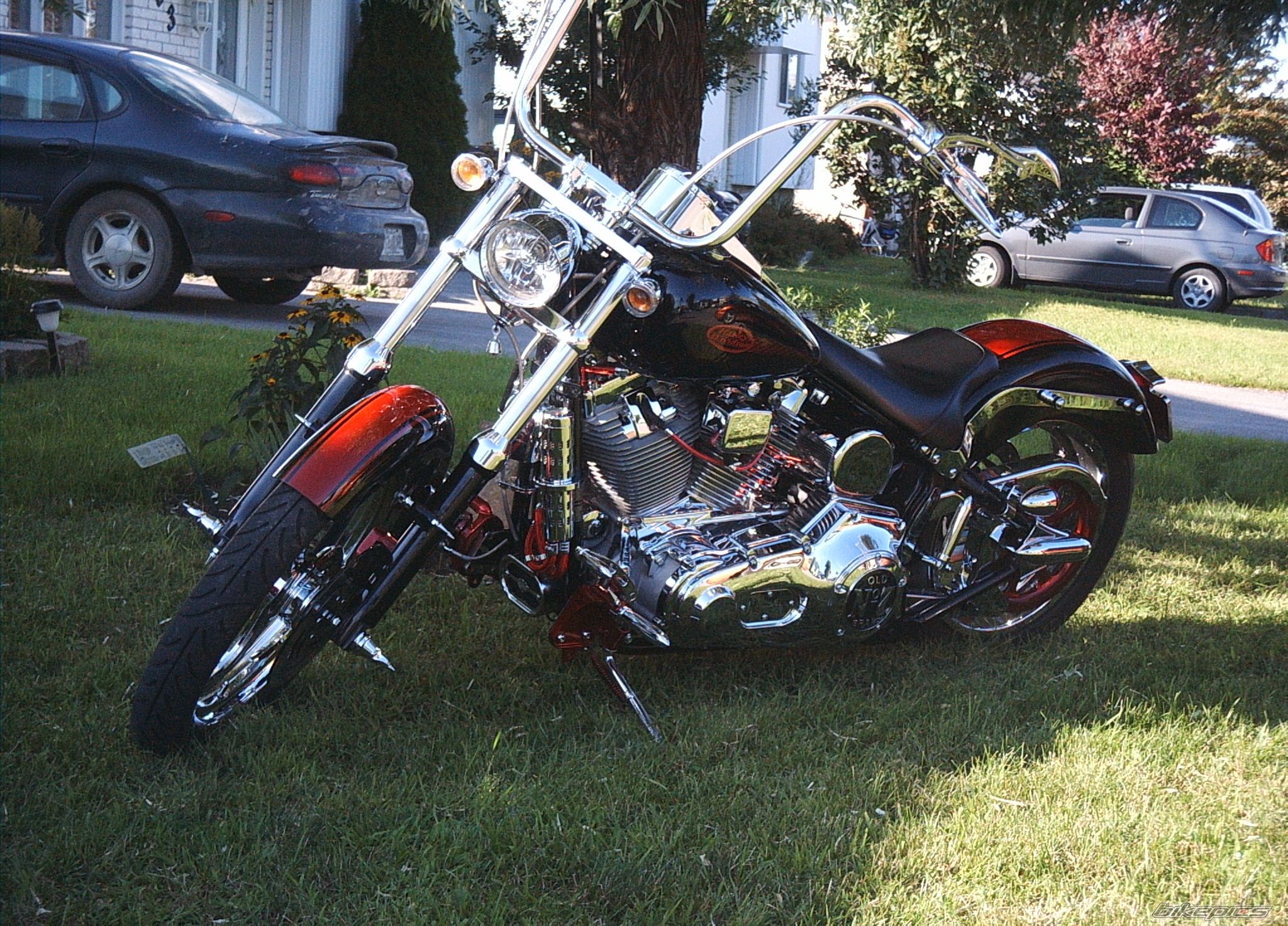 Photo 1384467