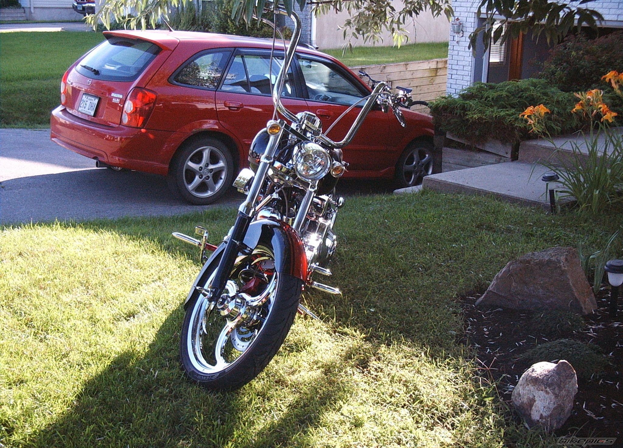 Photo 1384470