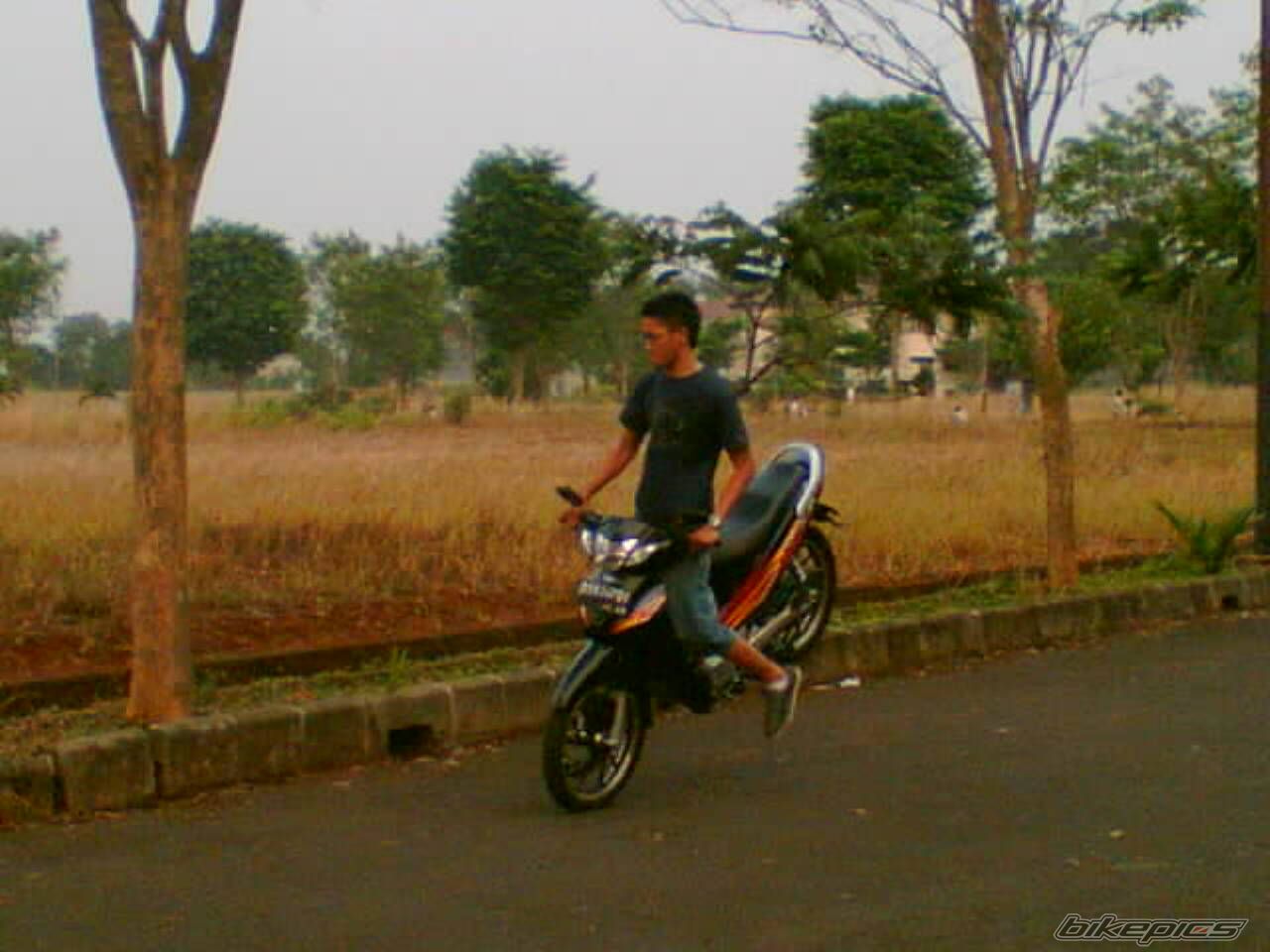 Photo 1384721
