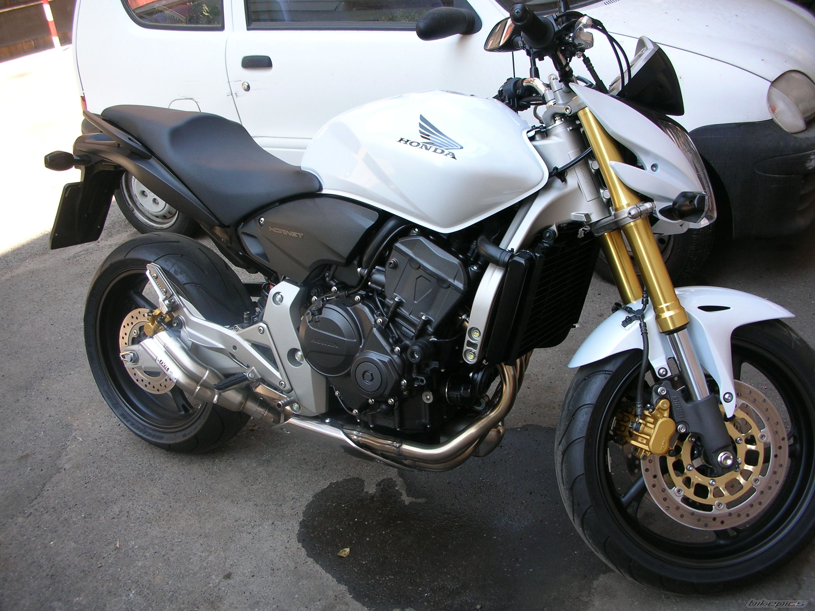Photo 1384737