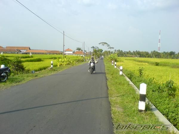 Photo 1384799