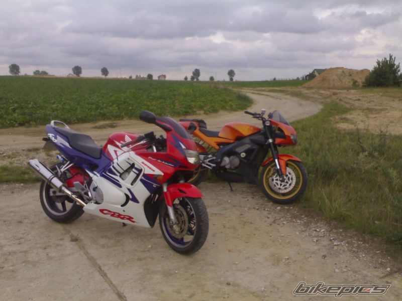 Photo 1384842