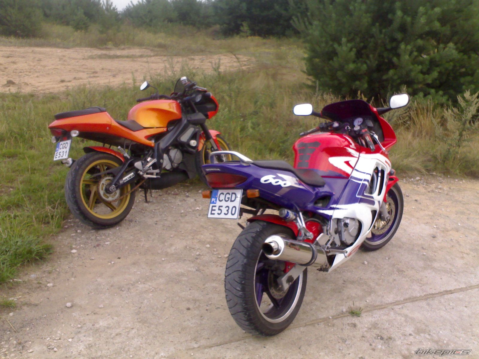 Photo 1384856