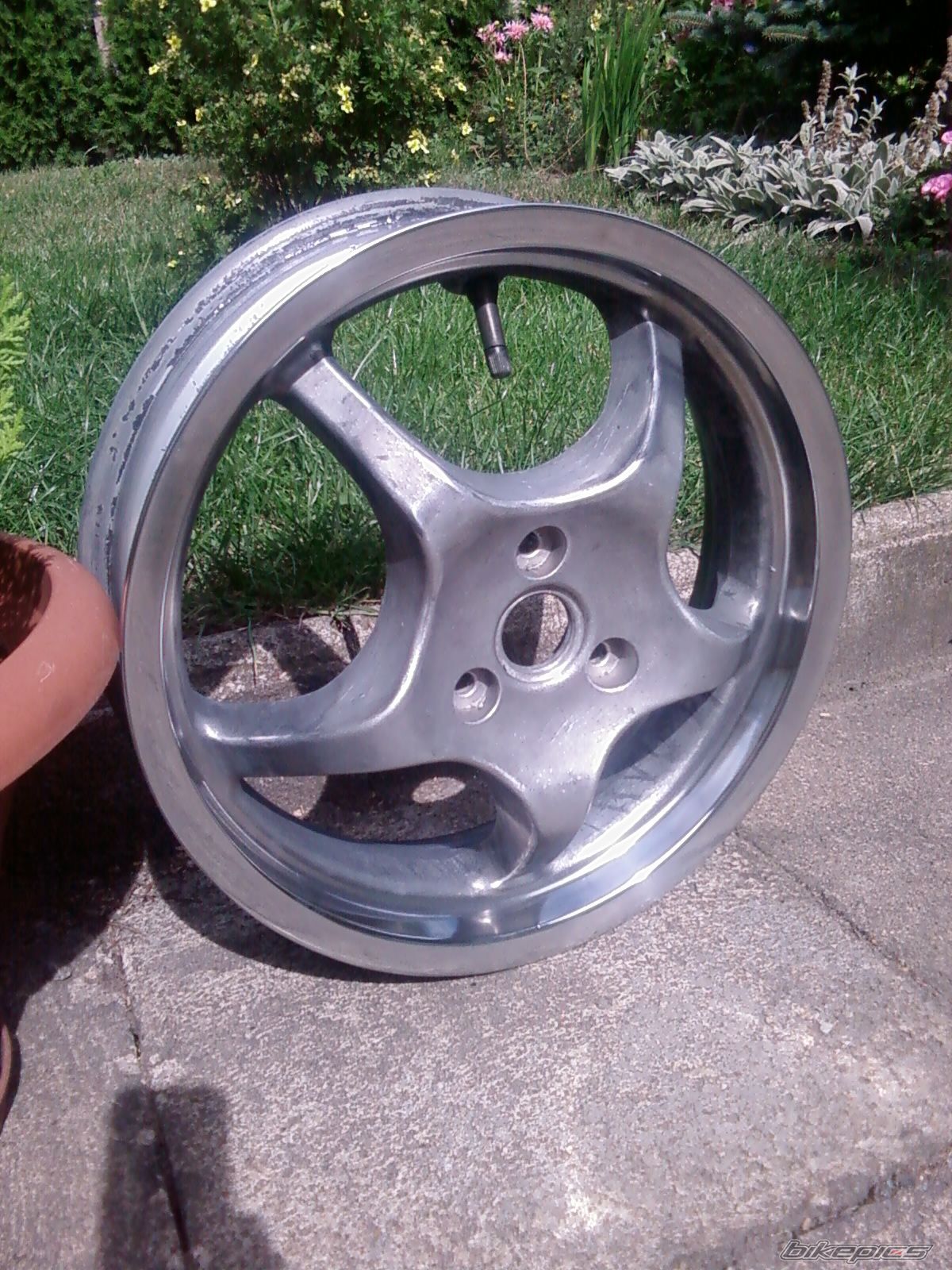 Photo 1384862