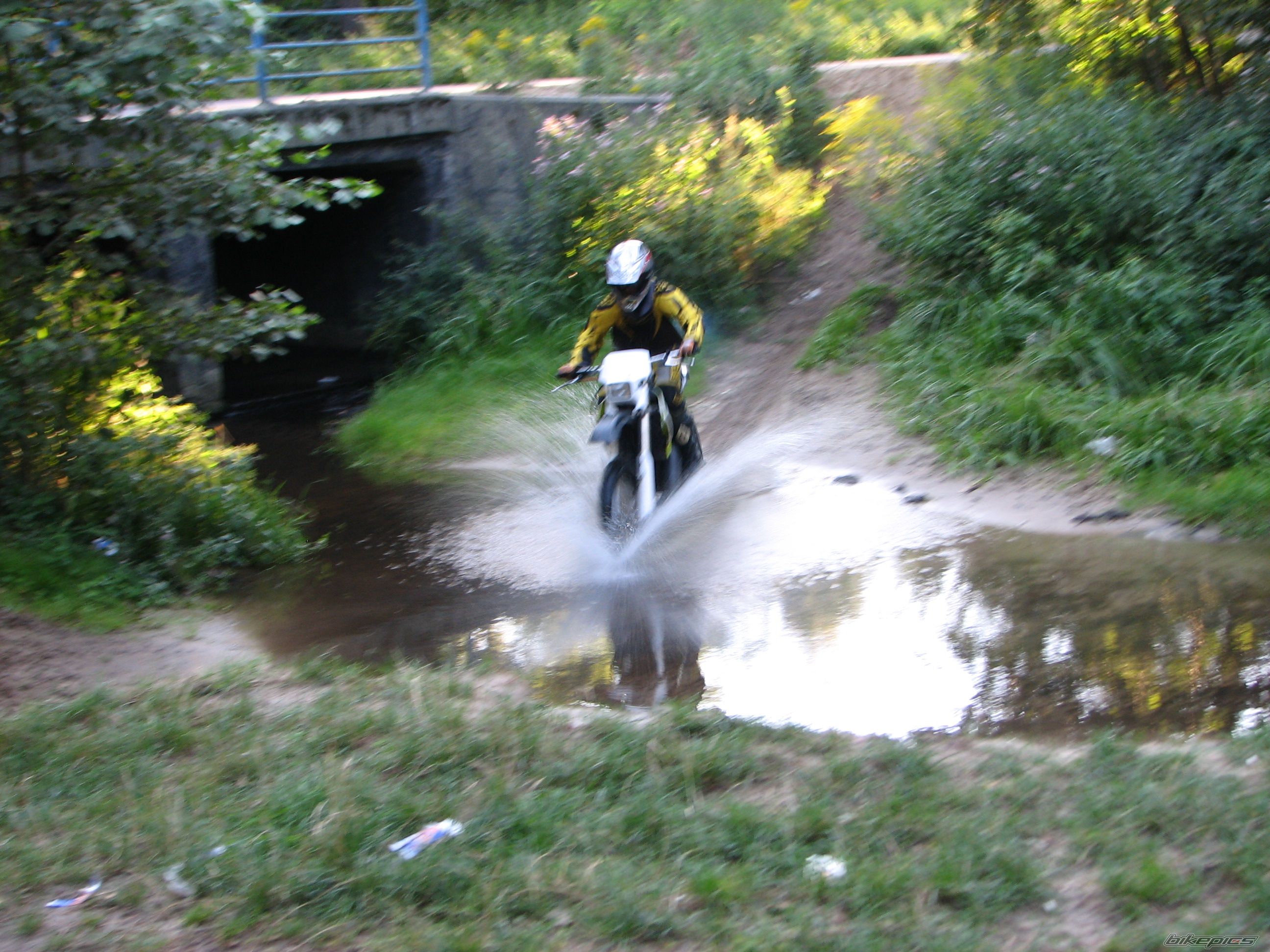 Photo 1384877