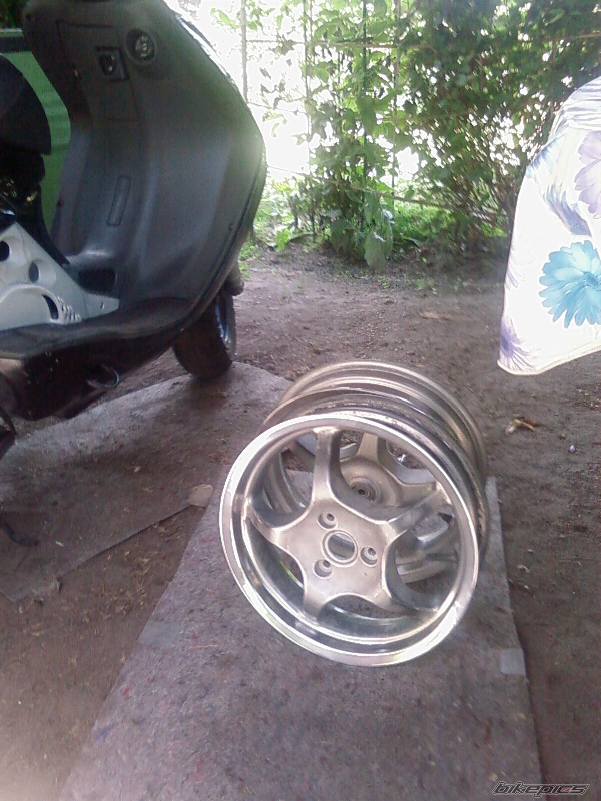 Photo 1384913