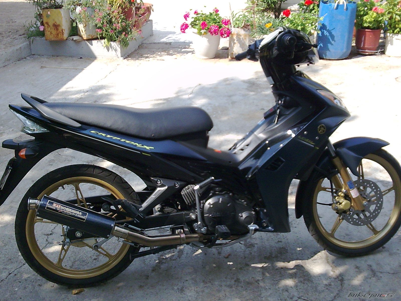Photo 1384927