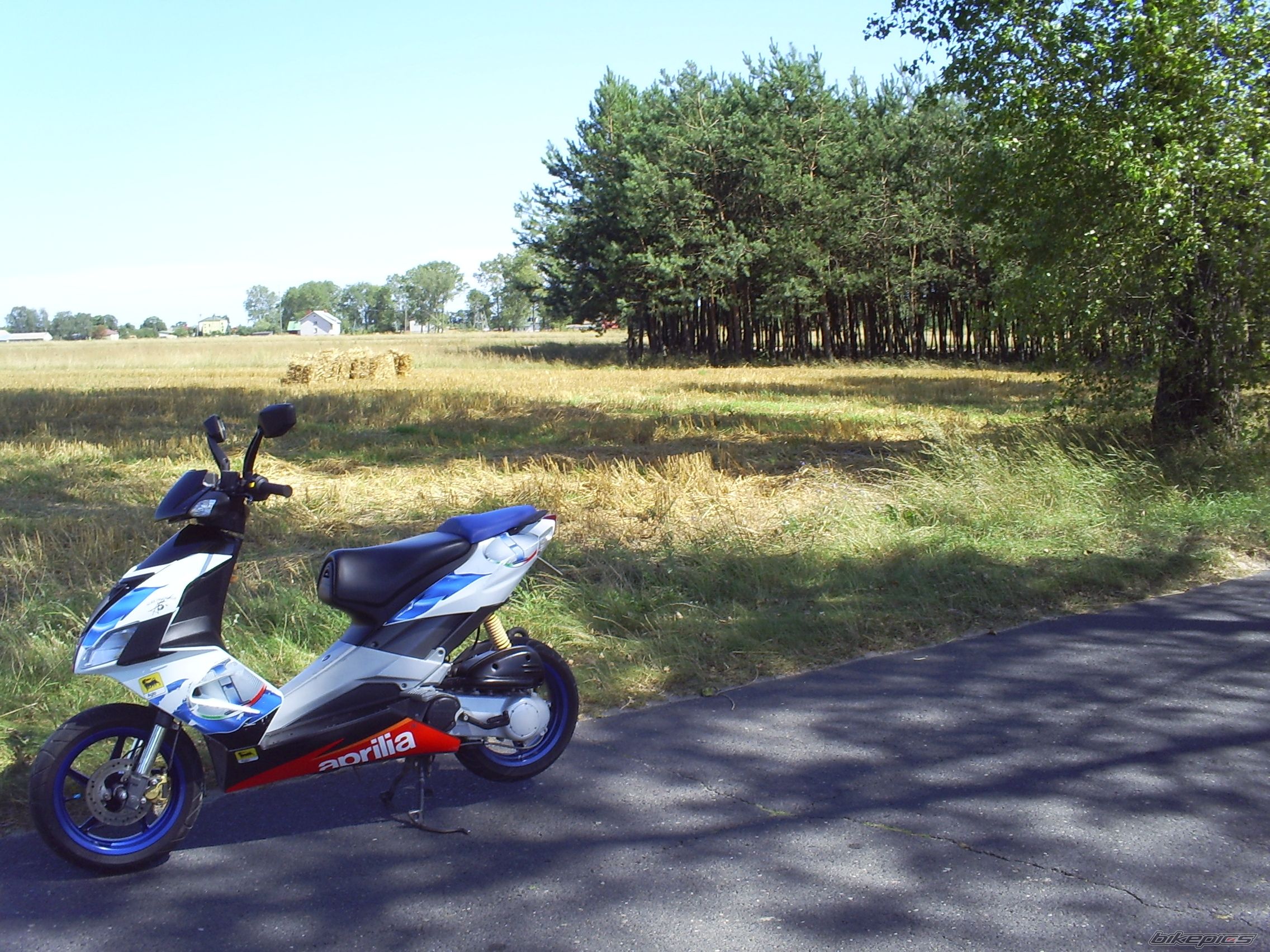 Bike Photo 1384940
