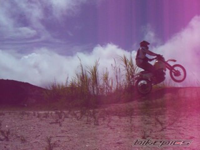 Photo 1384942